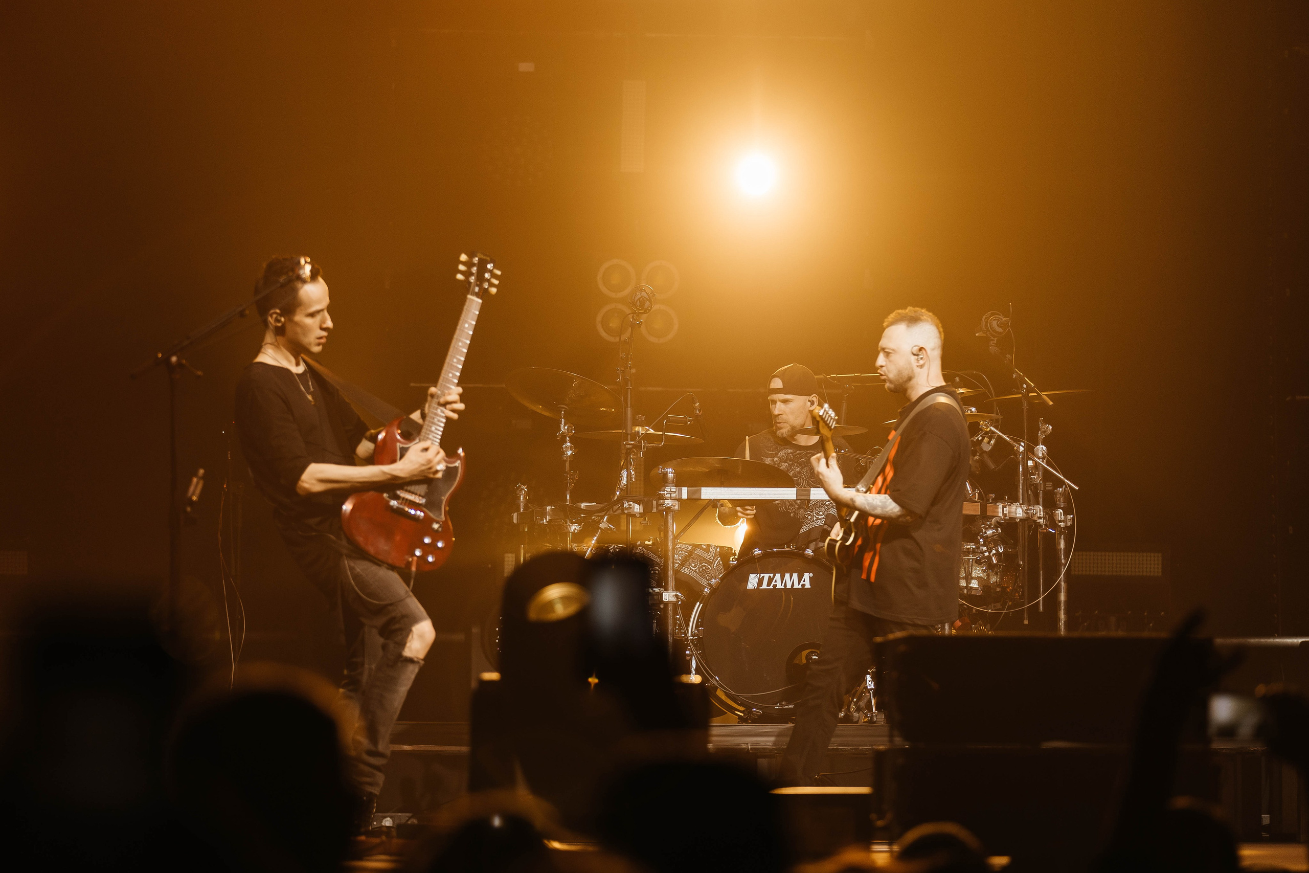 Звери. _Carpe diem_