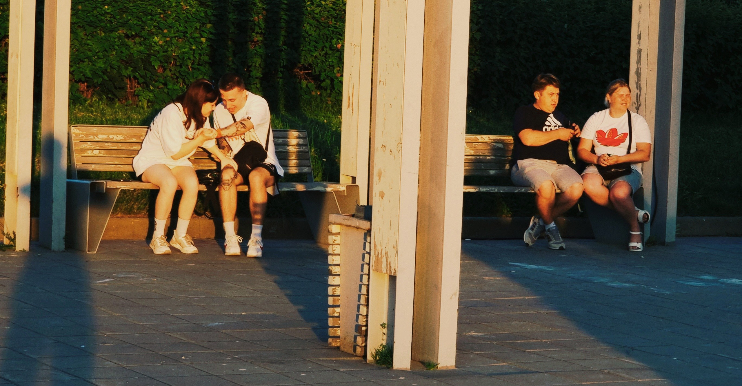 Июль 2025. Den Mirov — Фотограф, Музыкант