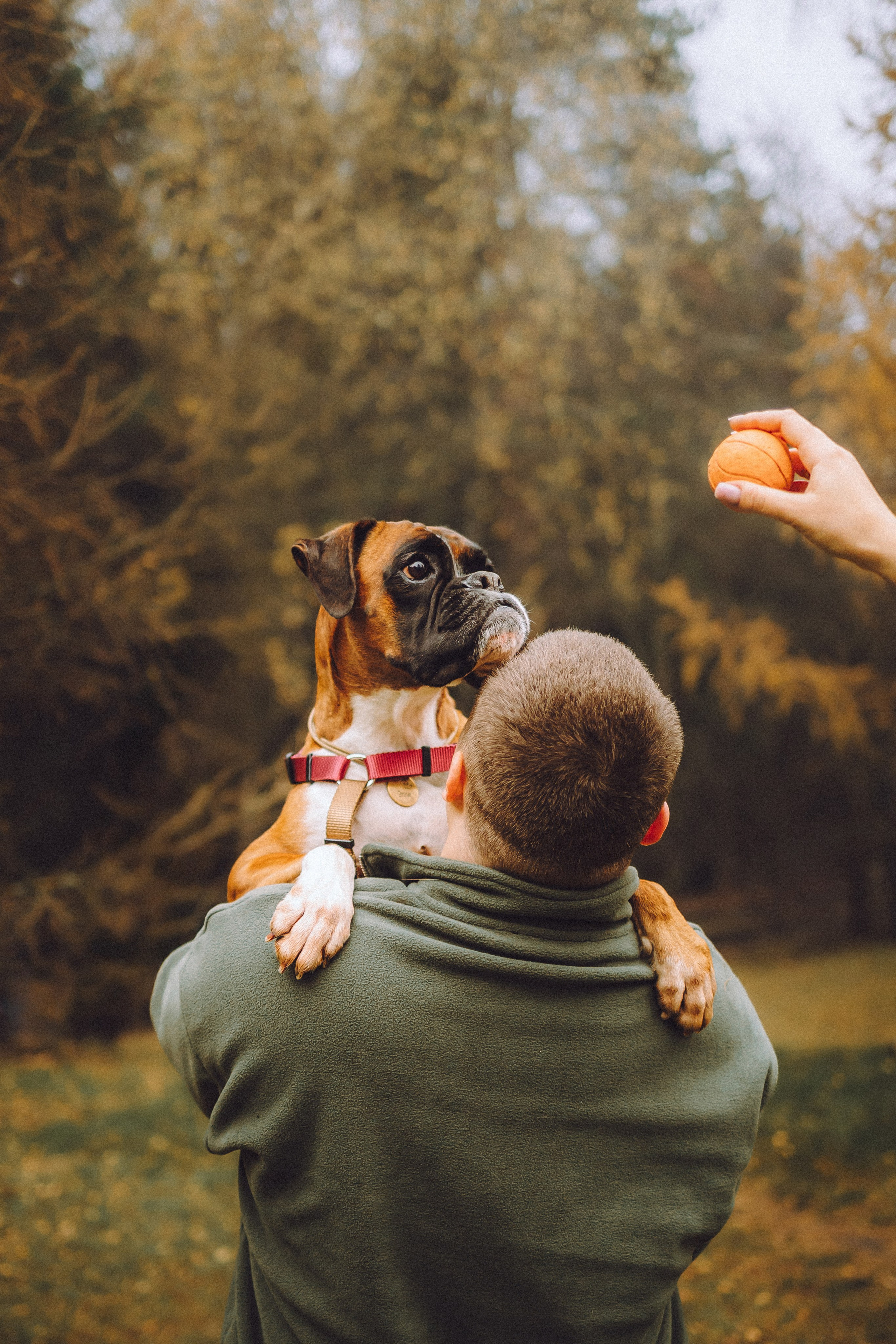 Элли и ее семья