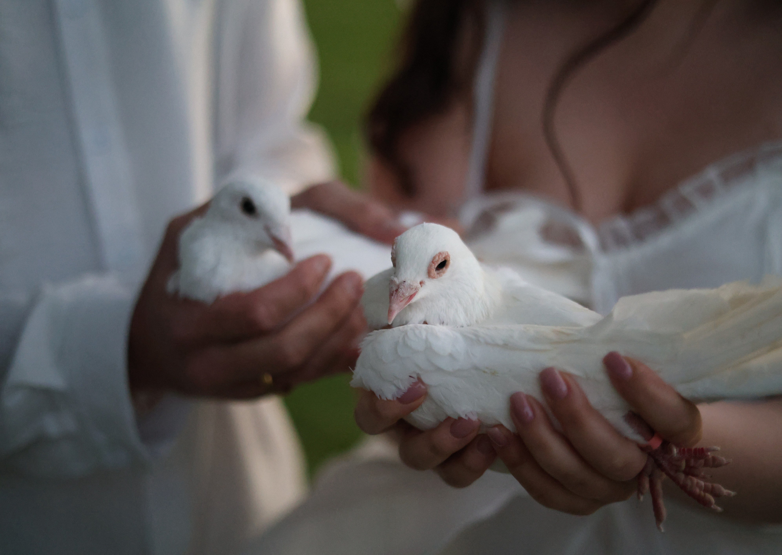 Алина & Сергей. Фотограф в Калининграде Сокирко Светлана