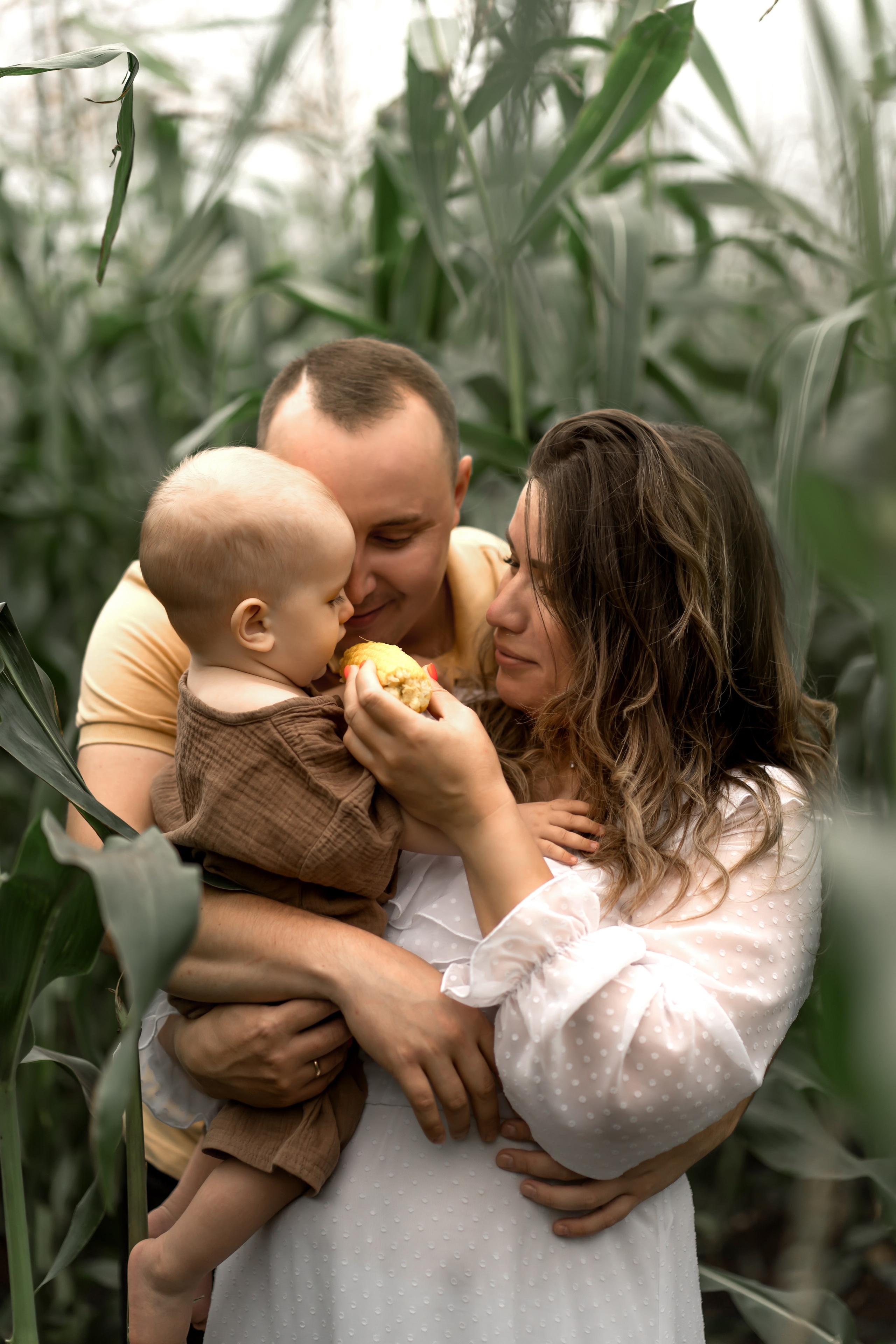 Прогулка в кукурузе. Фотограф в Красноярске. Юлия Чаушанская