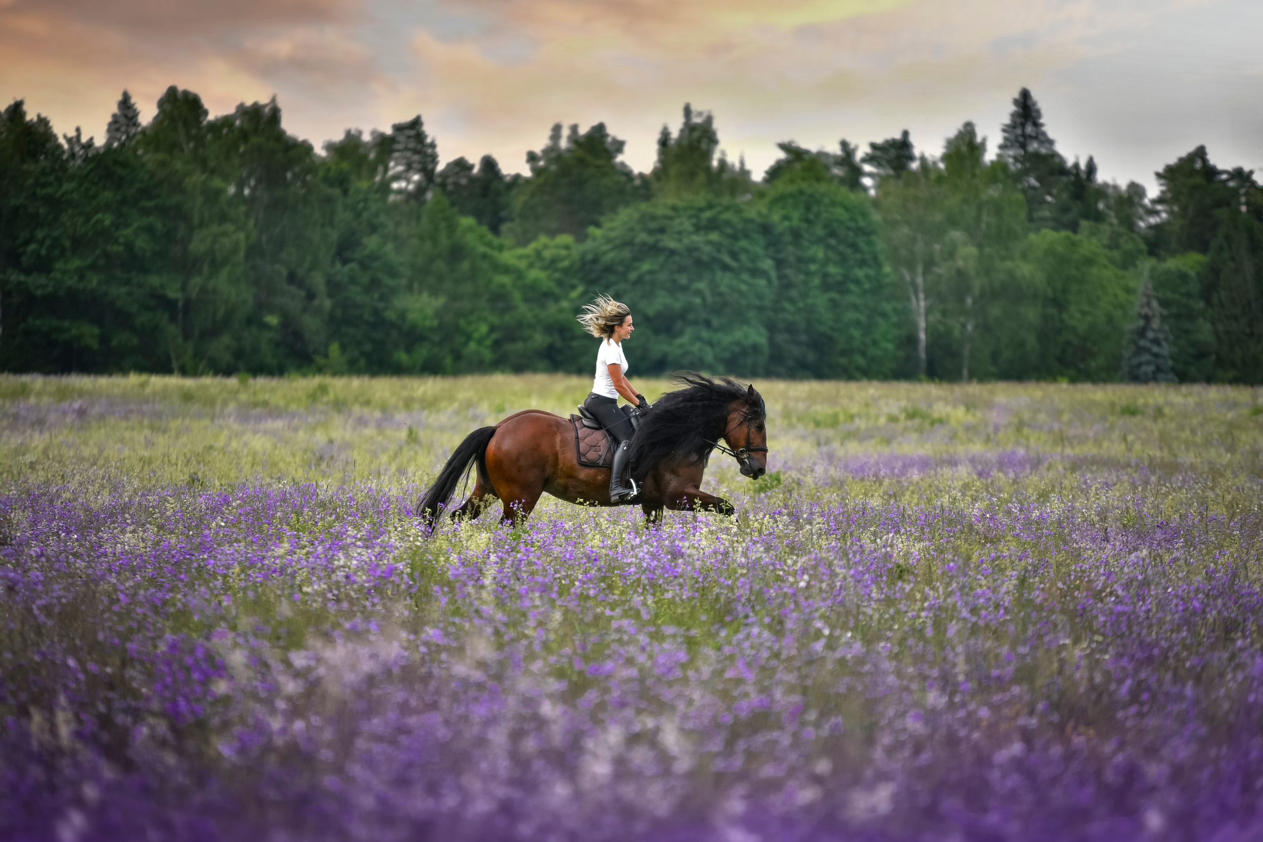 Съемки с лошадьми. Конный фотограф из Москвы Ирина Бондаркова