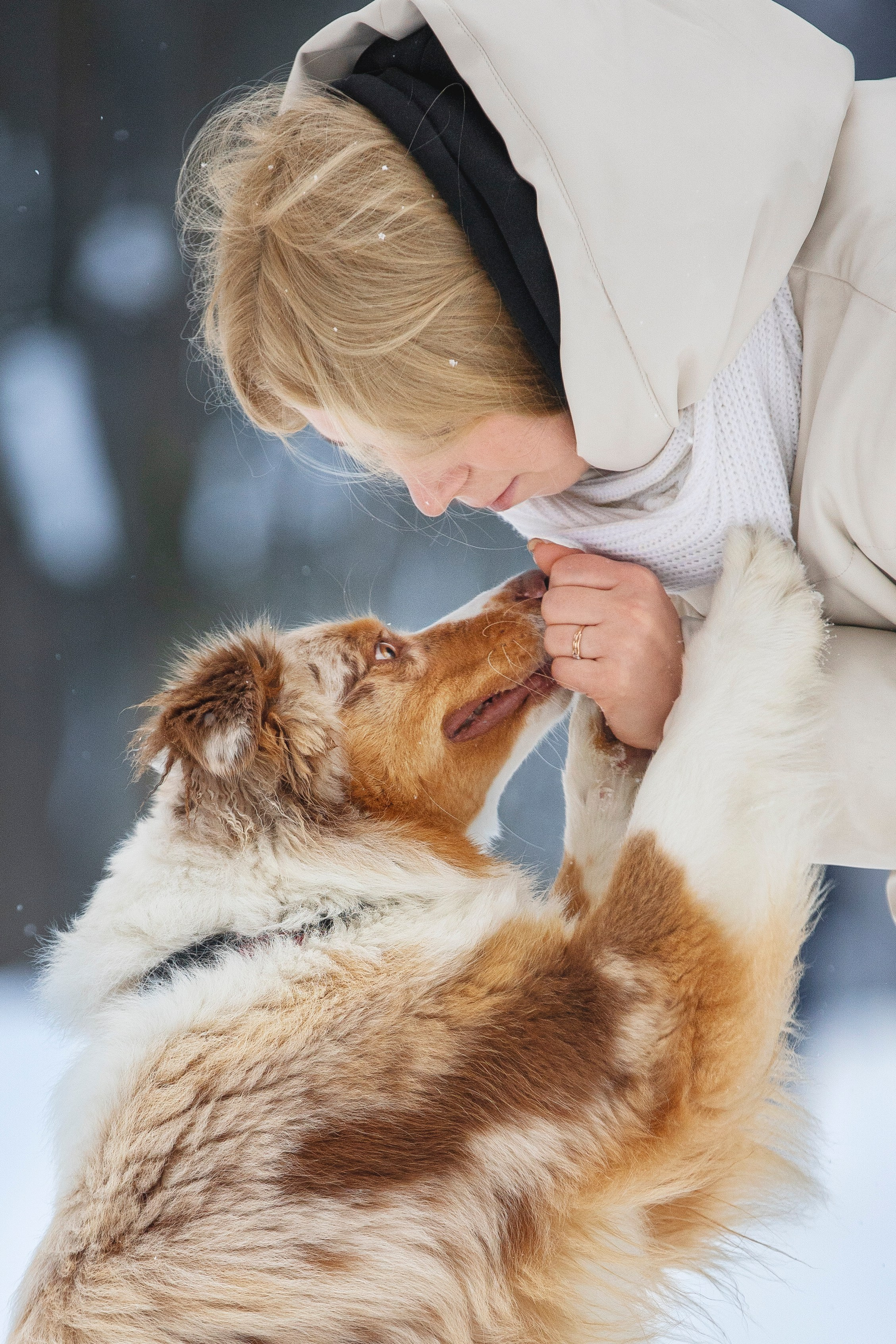 Настя, Игорь, Тесс и Марс. Фотограф анималист в Москве Майорова Евгения