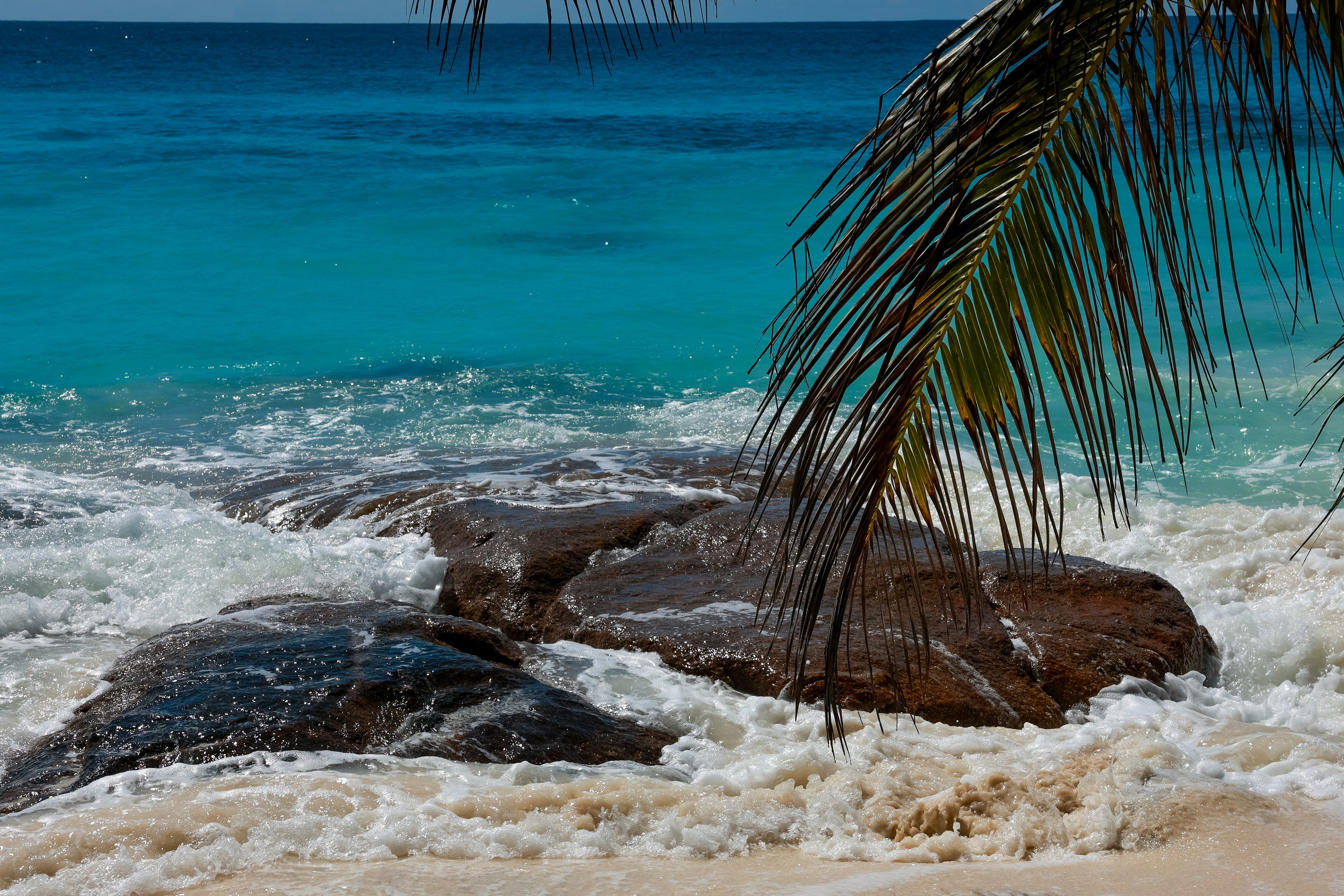 Сейшелы. Дарья Бухреева — фотограф, видеограф и фототерапевт. Москва и мир