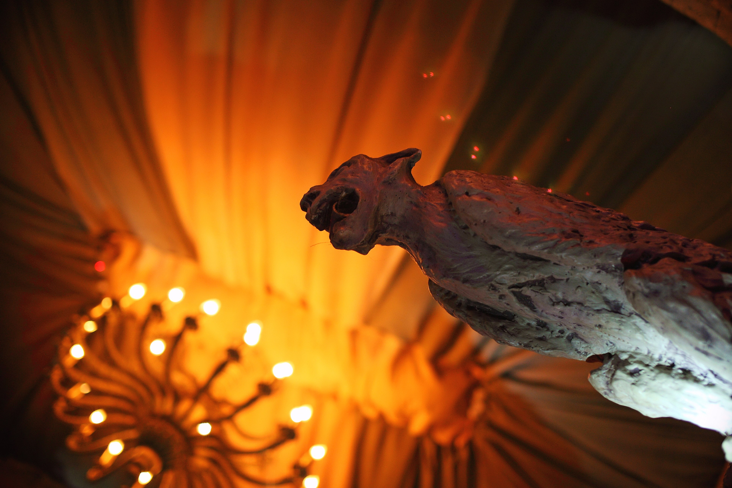 Тусовки. Свадебный и репортажный фотограф в Ярославле и Санкт-Петербурге Роман Микрюков