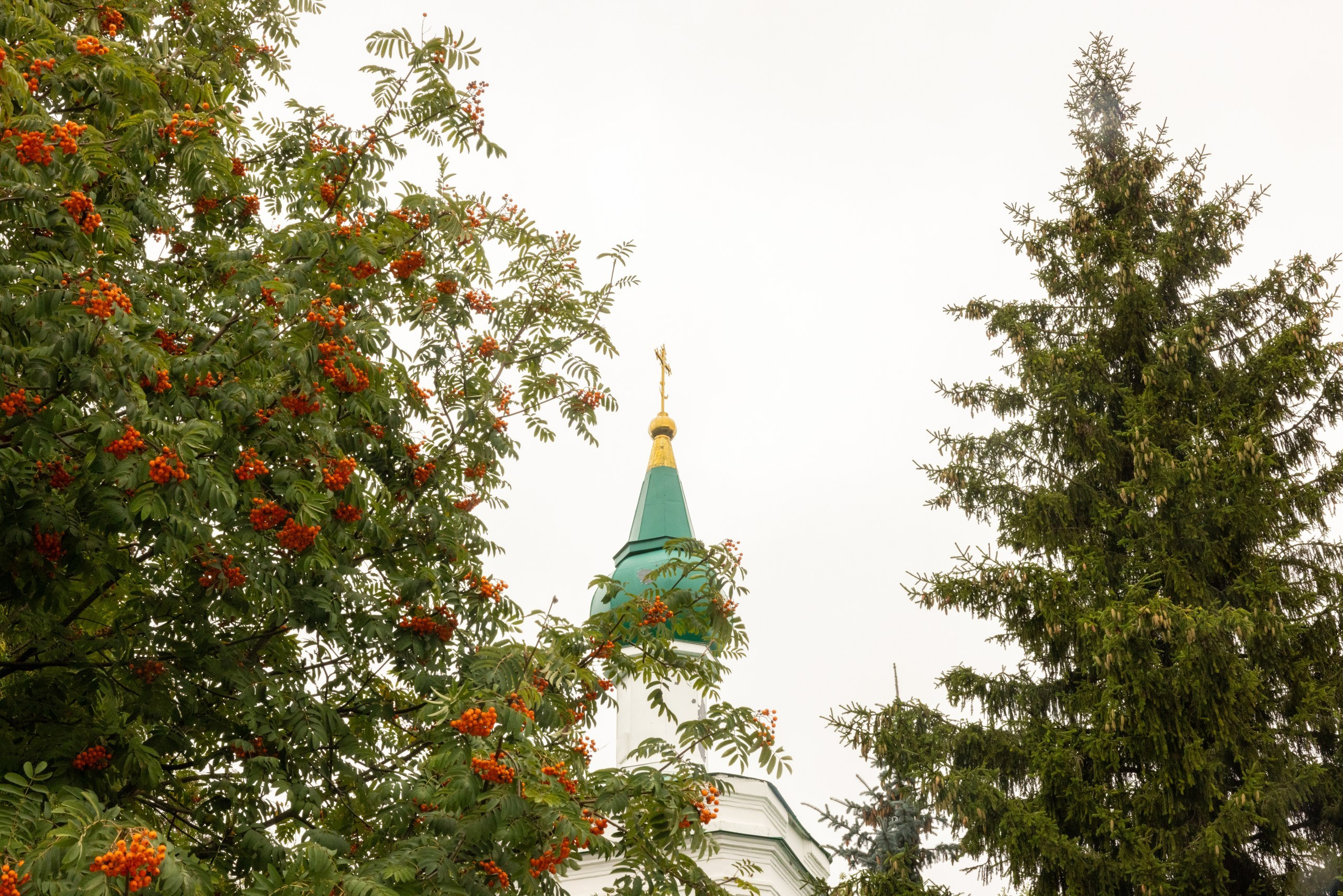 Образец репортажа крещения оригиналы, без искажений, без вспышки, светосильная оптика!. Фотограф в Туле Крупский АнДРей. Фотостудия «КАДР71» в Туле