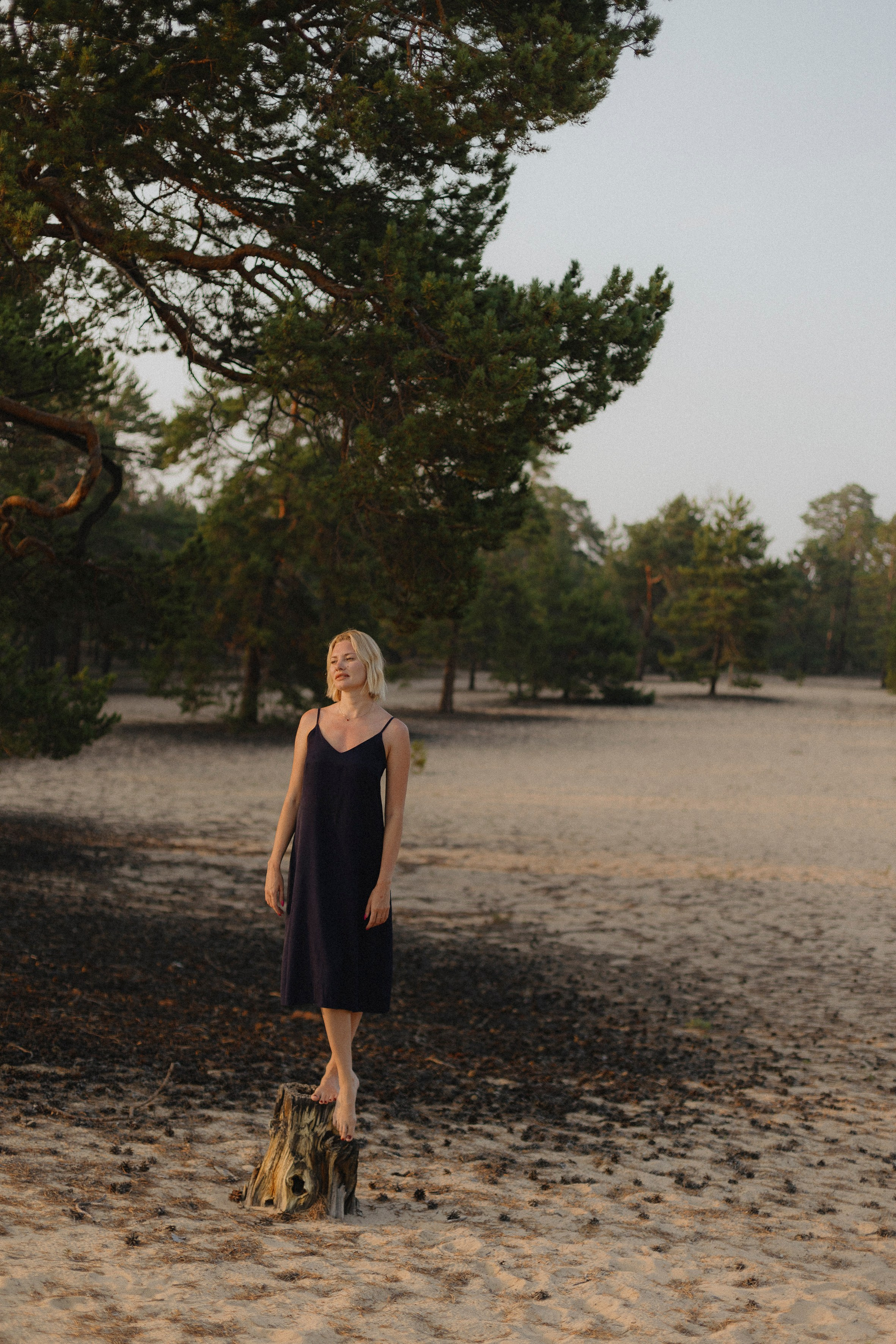 Цветок Ольхона. Фотограф Ольхон/ Индия, Регина