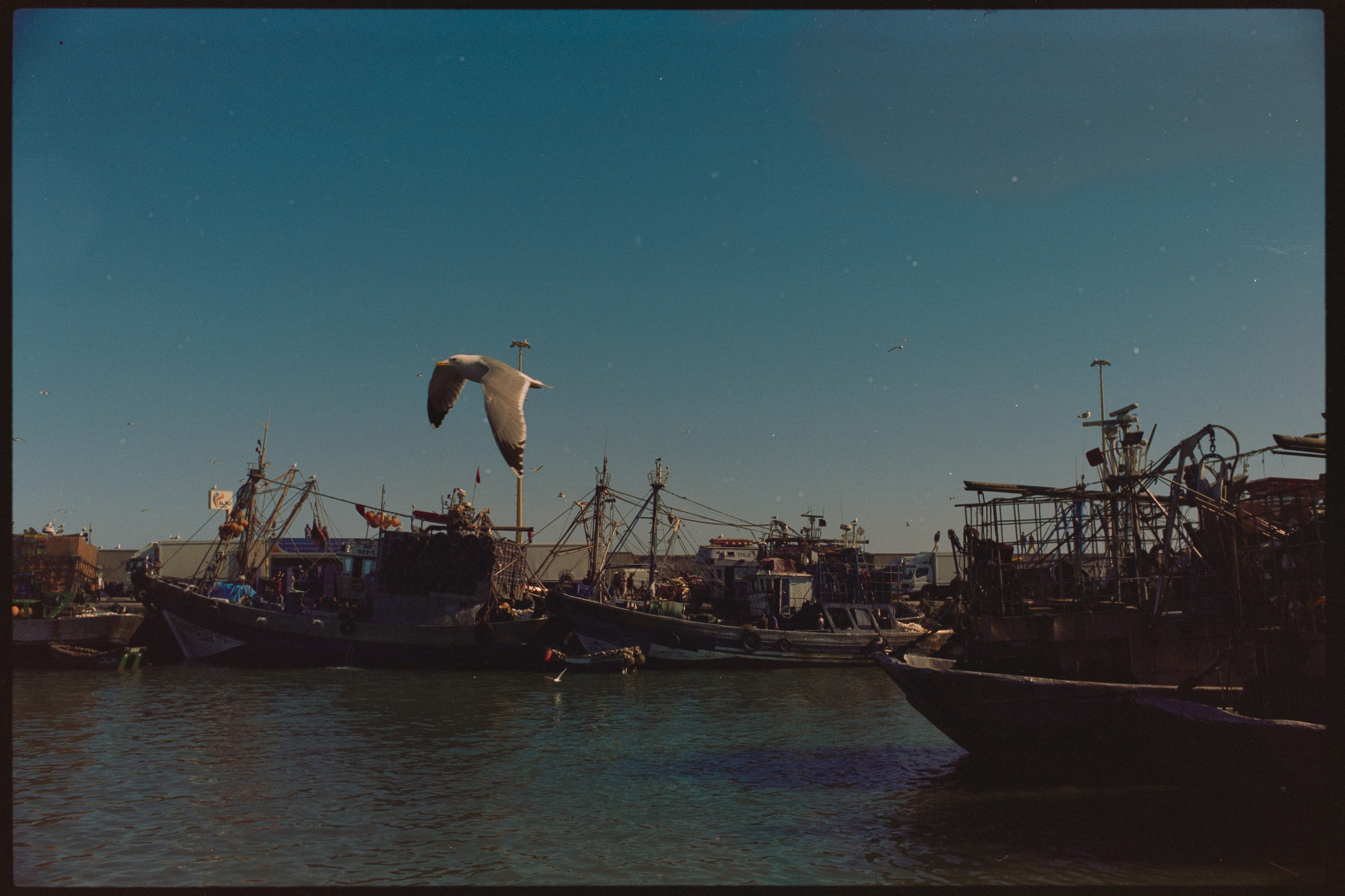 Марокко (плёнка Алёны). Игорь Гичка. Портрет с любовью
