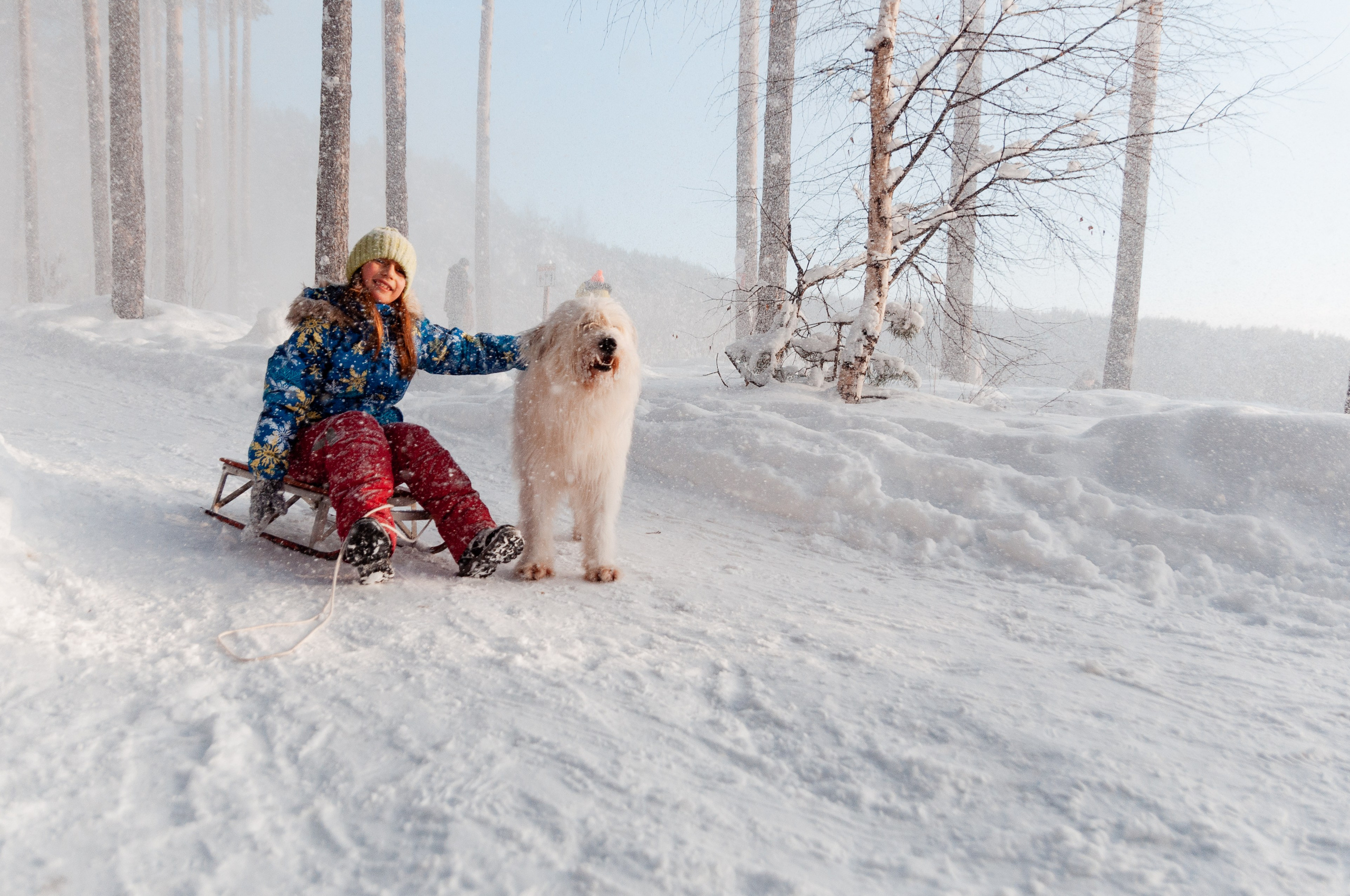 КСЮША+ВАЛЕРА+АВРОРА+РОБЕРТ. Фотограф в Ярославле Грибанова Ирина