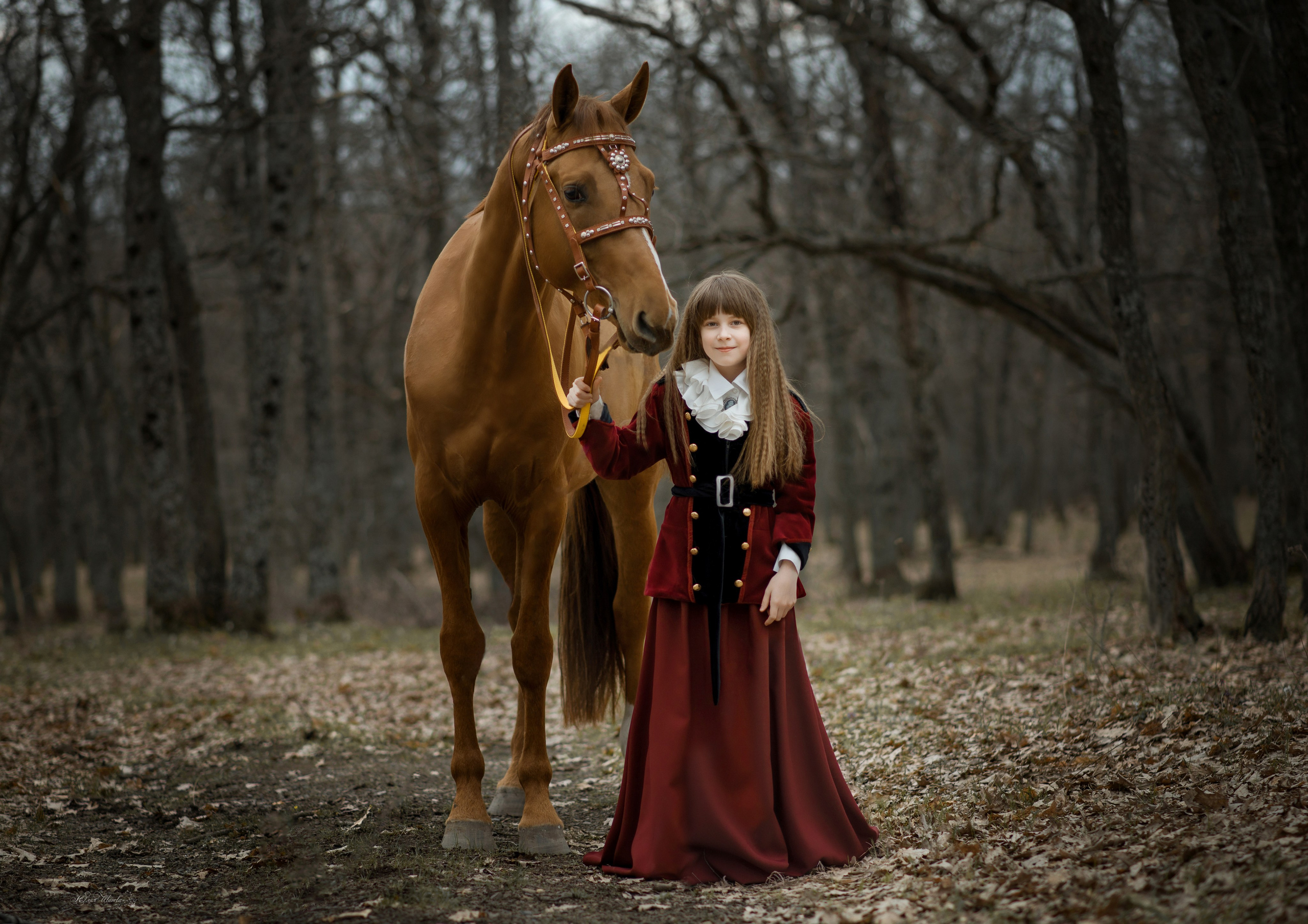 Семейная съемочка с Собратом. Конный фотограф в Саратове Юлия Иванова