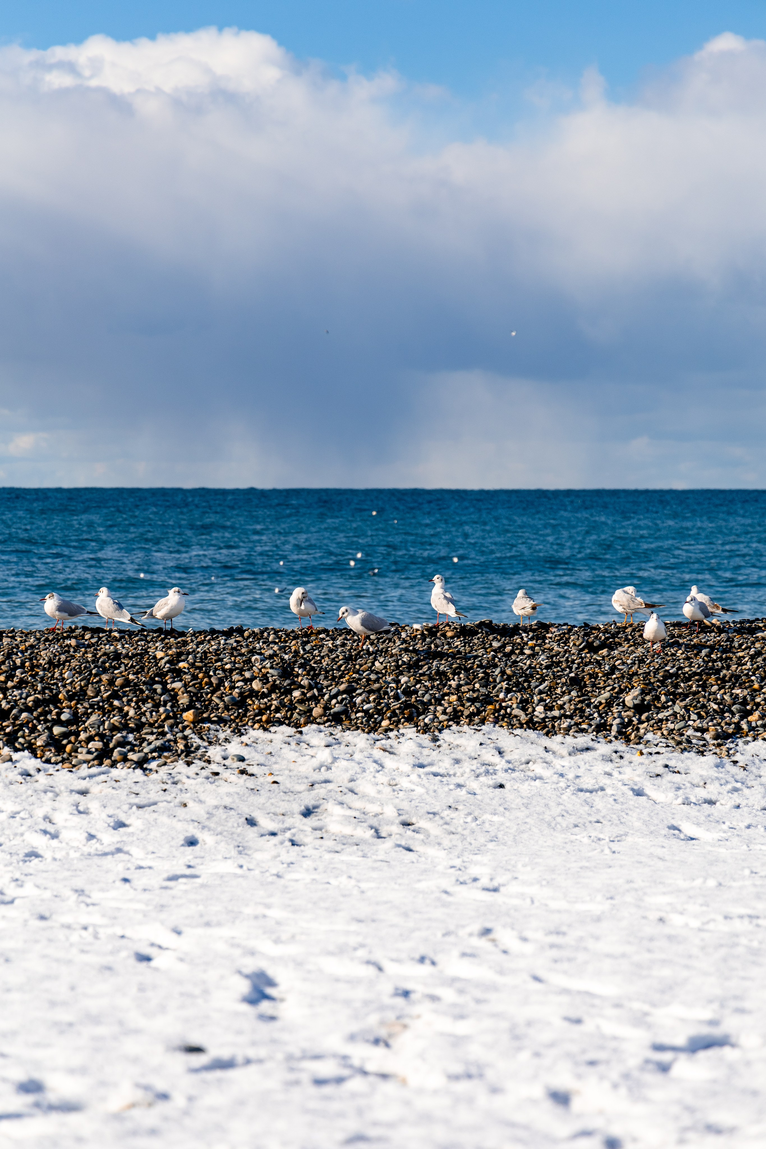 АРХИТЕКТУРА / ОКРУЖАЮЩАЯ СРЕДА. Фотосъёмка Сочи, Адлер, Красная Поляна
