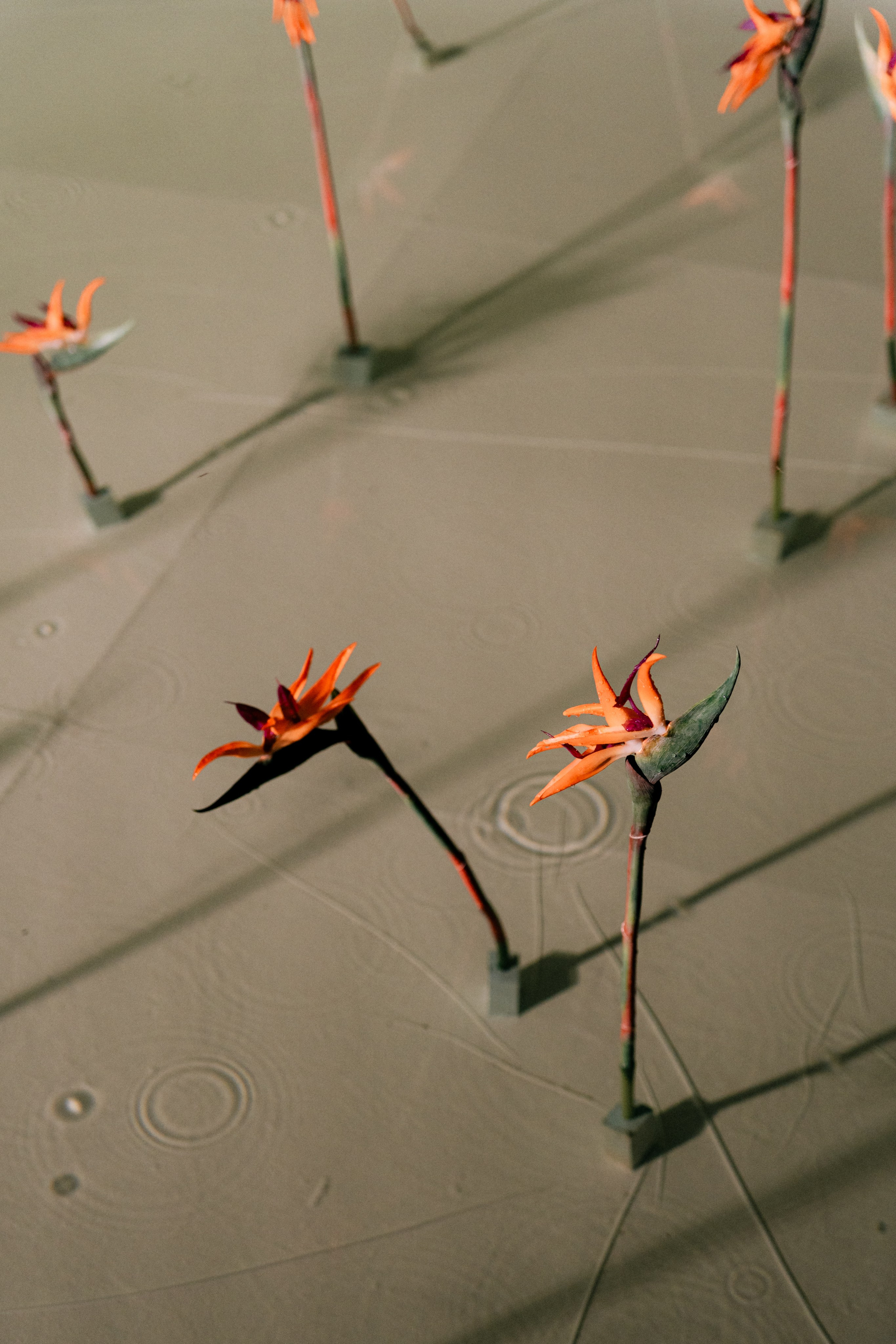 Майский Дождь. Полный день (сокращено). Семейный и портретный фотограф в Саратове Сахарова Маша