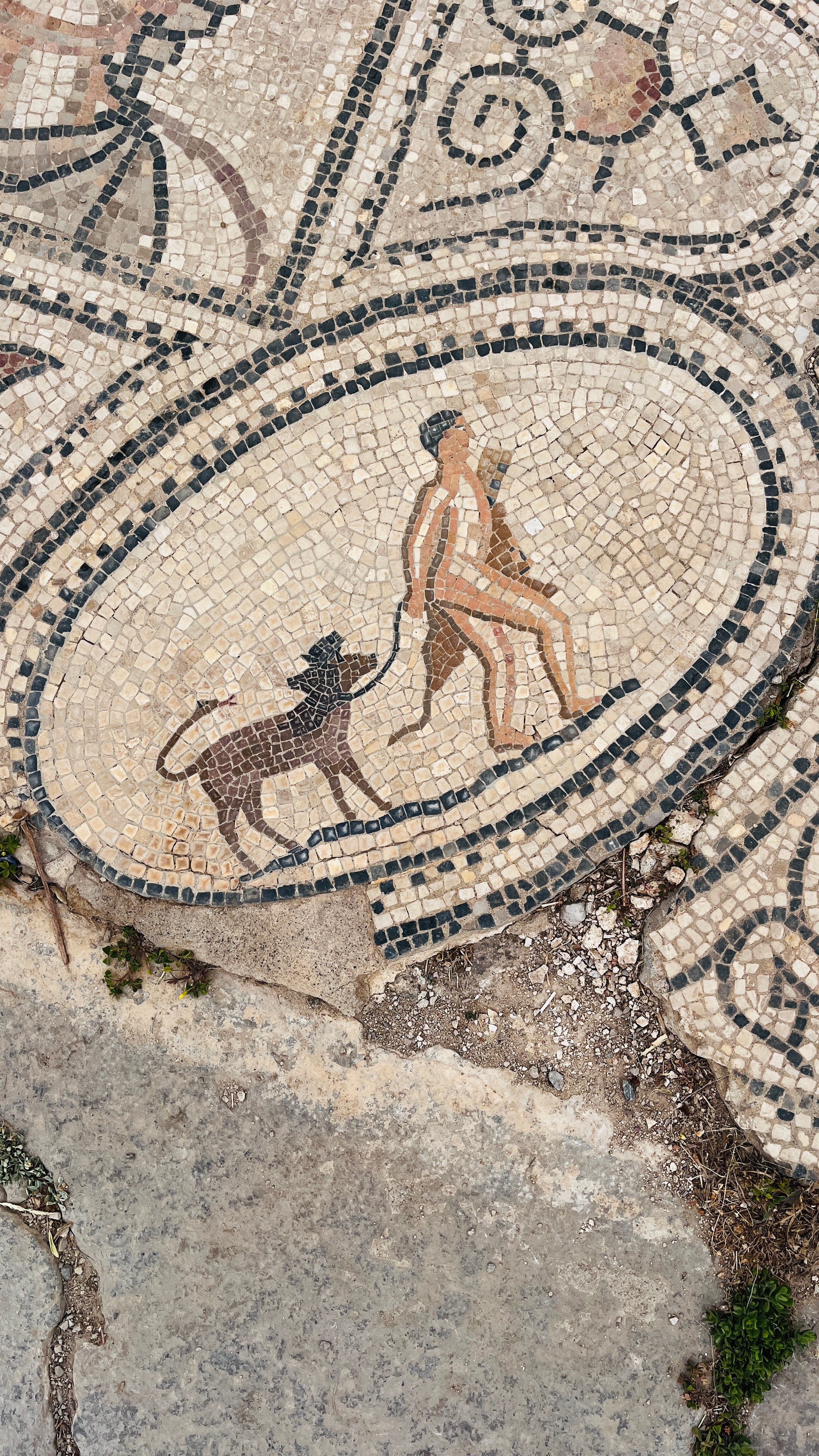 Северная Африка: Тунис, Марокко. Фотограф в Хабаровске. Фотография за 24 часа