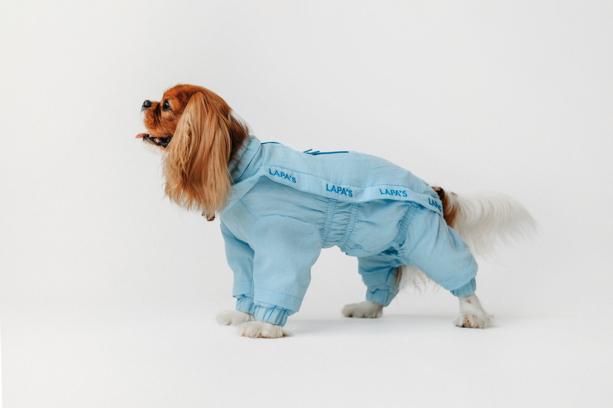 Одежда Lapa`s brand. Фотограф-анималист Елена Радченко, Москва