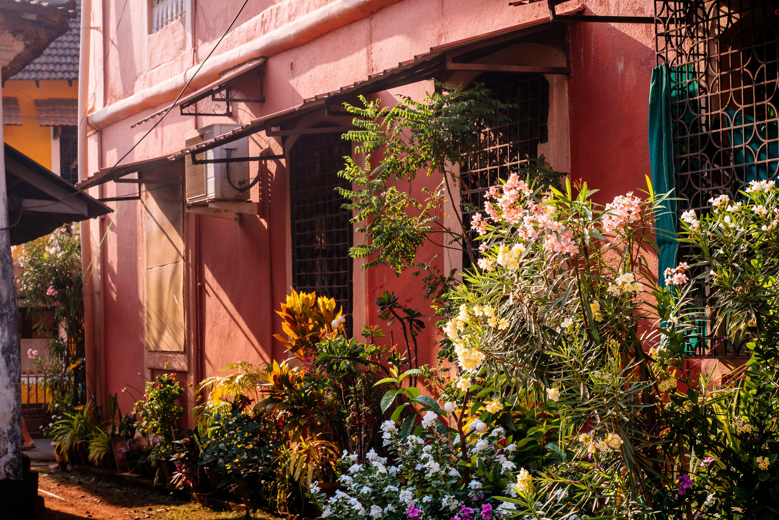 Гоа. индия. Iraogo