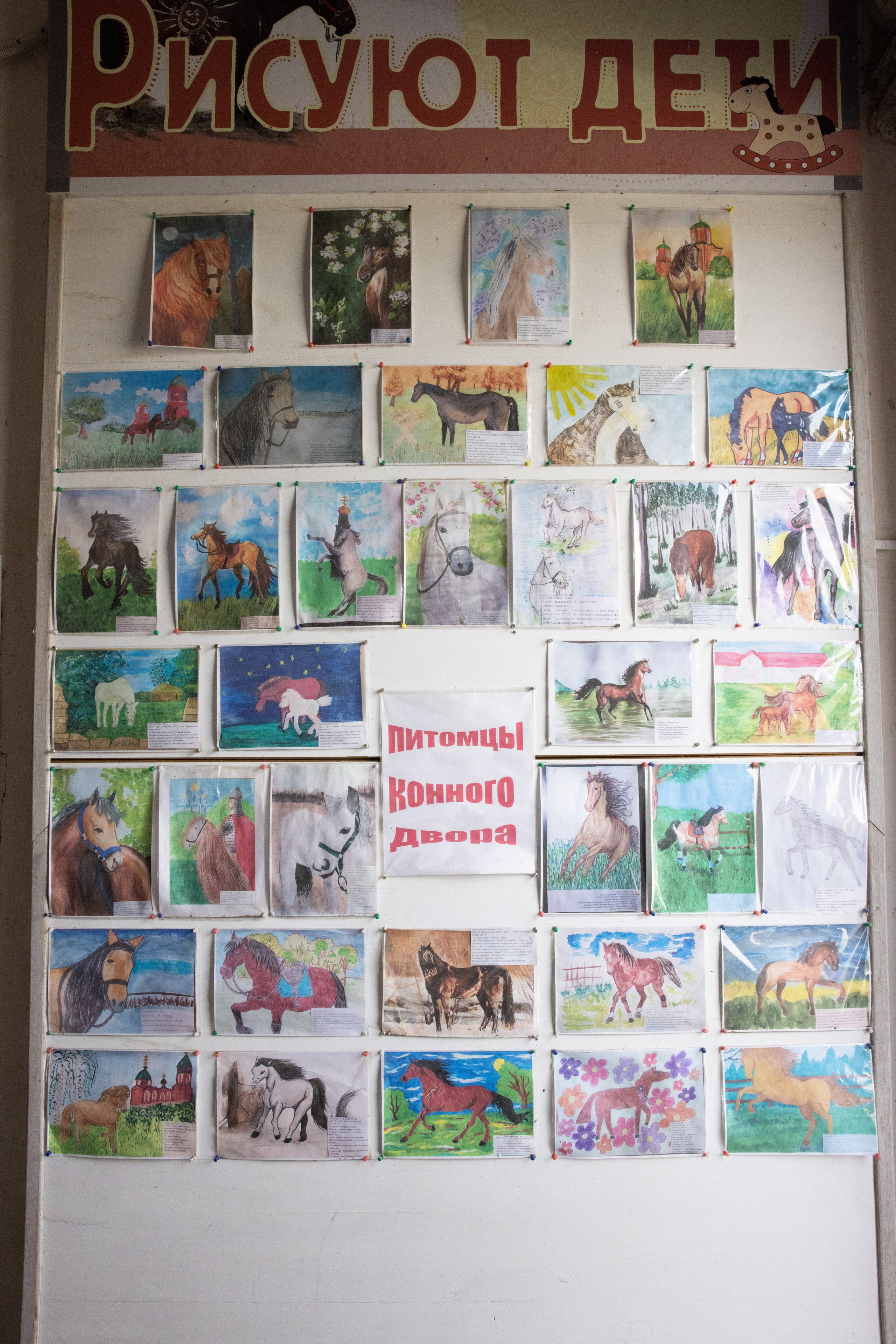 Поездка на поле Кулеково. Фотограф в Туле Крупский АнДРей. Фотостудия «КАДР71» в Туле