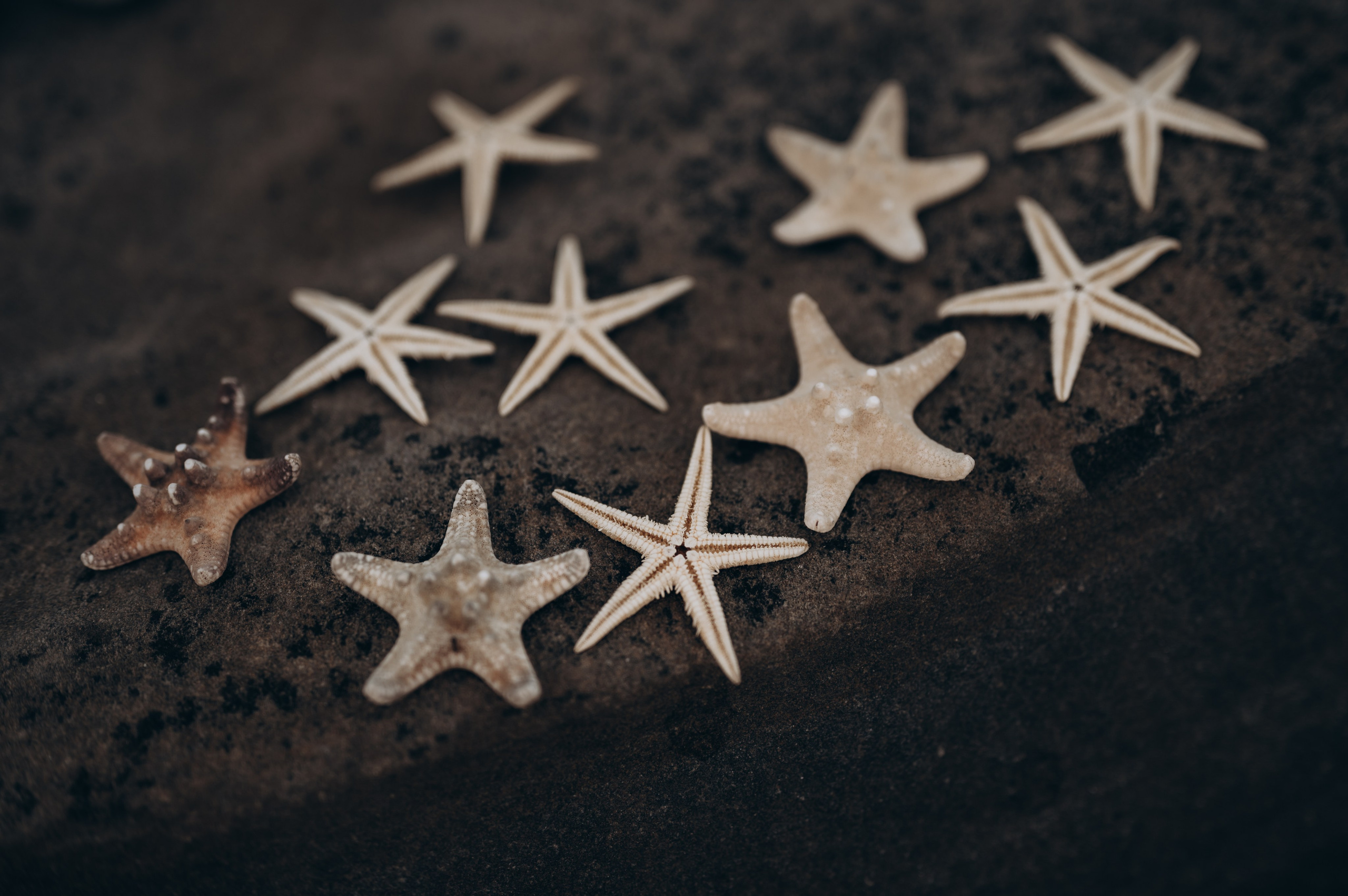 Анастасия. Фотограф Сочи Кисматова Анастасия