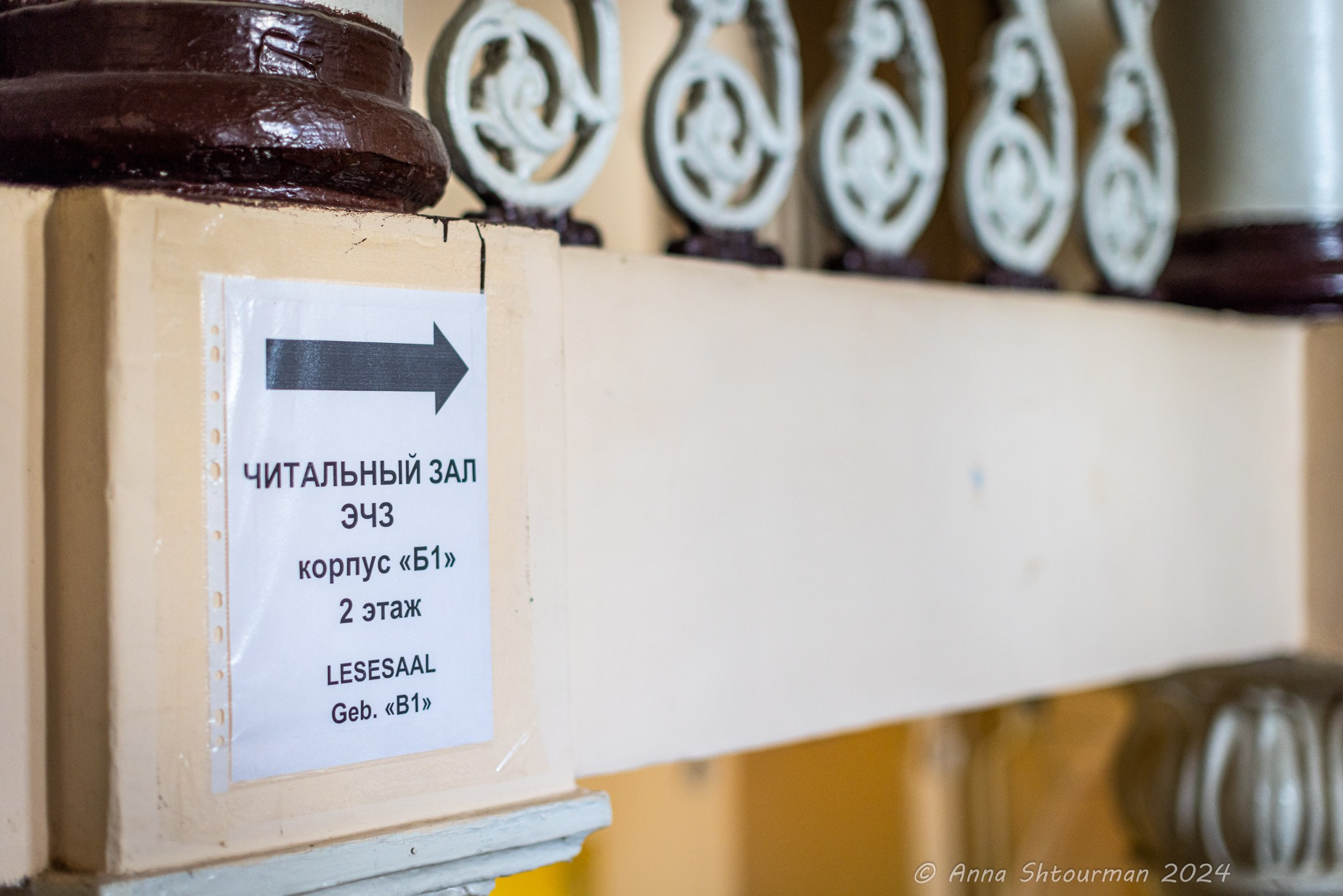 2024 Кубок Костромы по быстрым шахматам на призы ООО «СПЕЦСТАНОК». Фотограф Анна Штурман (репортажная съёмка любых событий и мероприятий) Anna Shtourman photographer