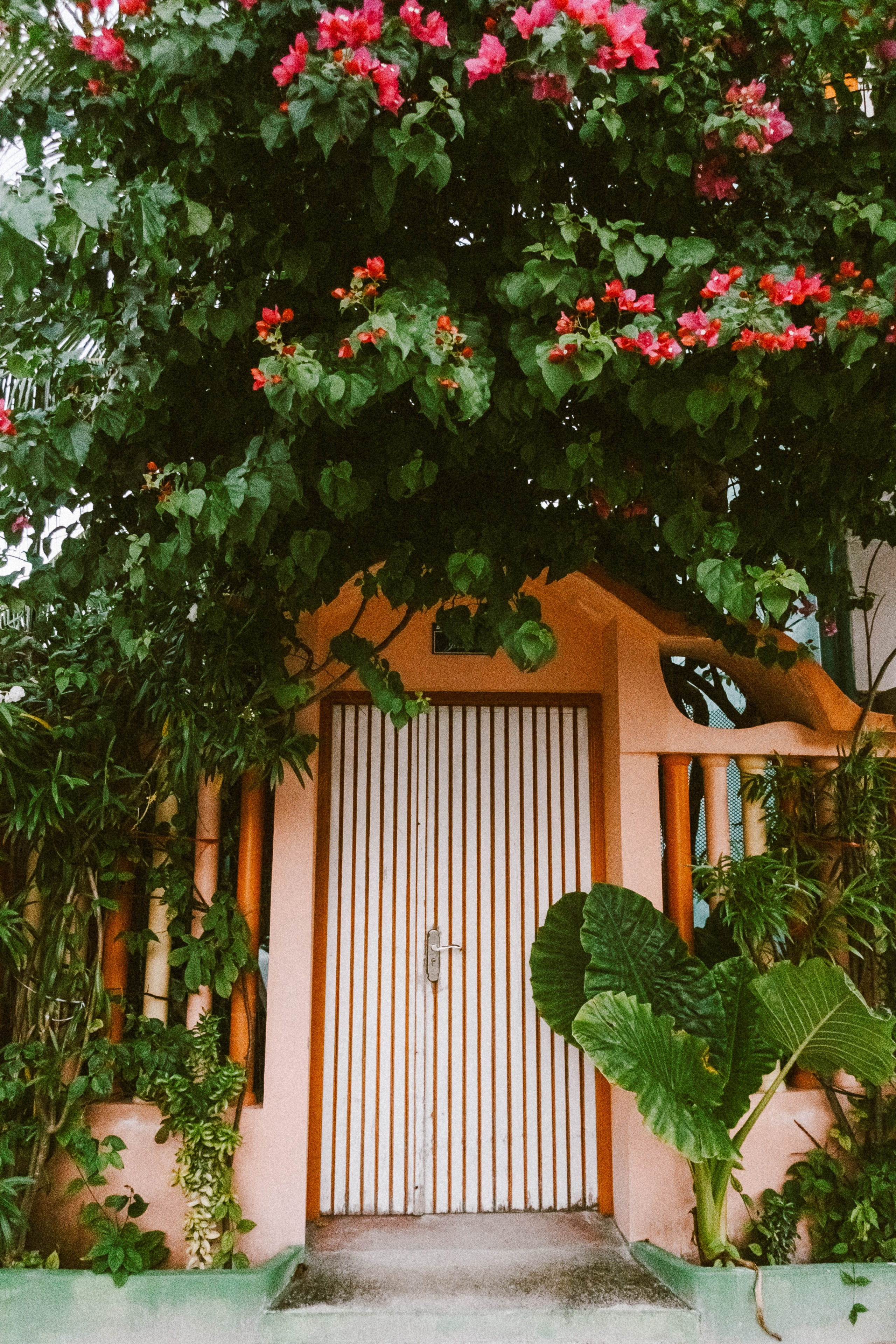 О.Тулусду. Мальдивы. Фотограф Светлана Голицына