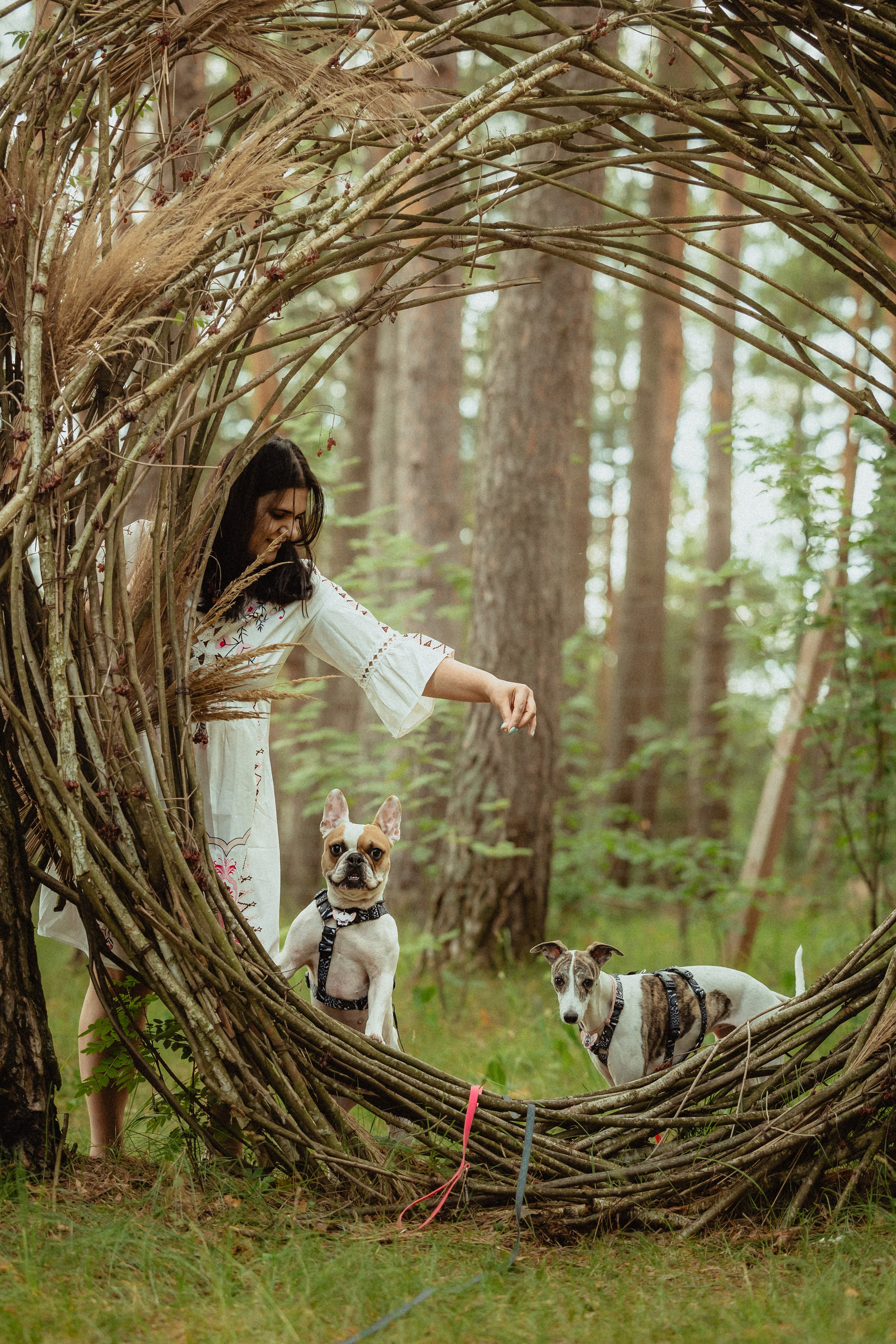 Выездной дог-тренинг от школы «Шерсть имею»