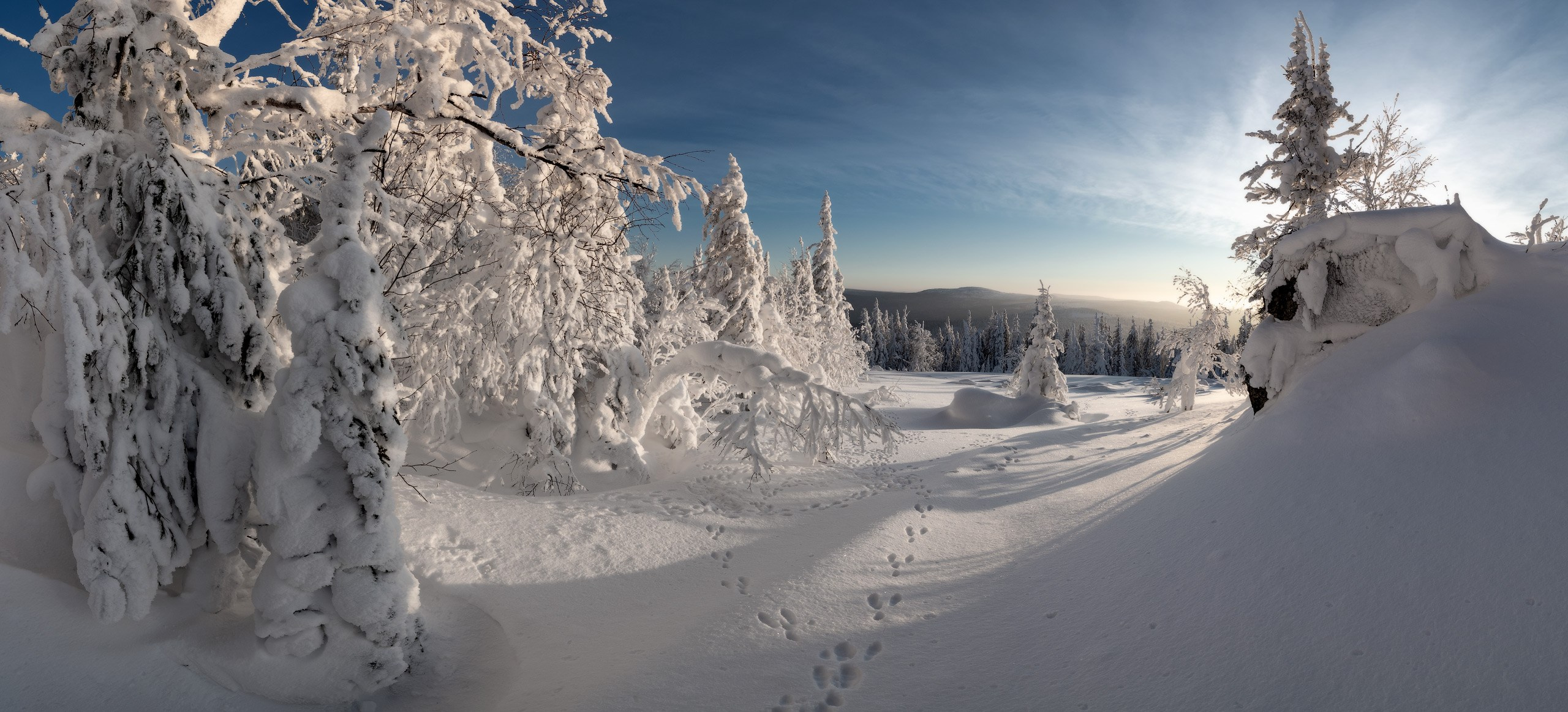 Зимний день в лесу на горе Белая окрашен холодными отблесками снега и голубого неба.