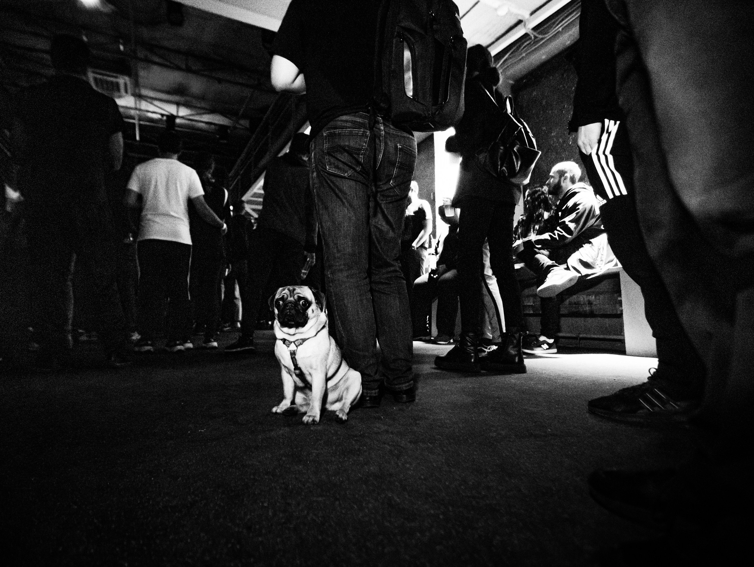 Роад трип TRNA СПБ-Москва 2021. Фотограф Мария Немм