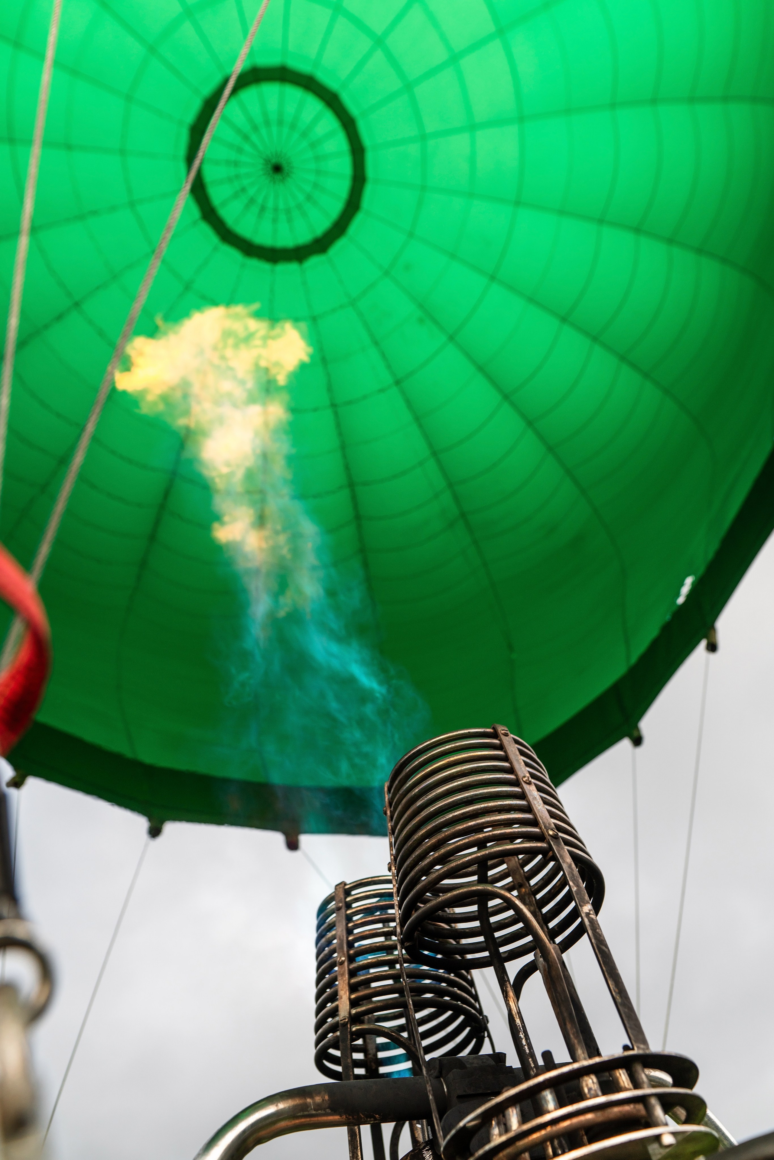 Фотограф на праздник Сочи. Фотограф Сочи