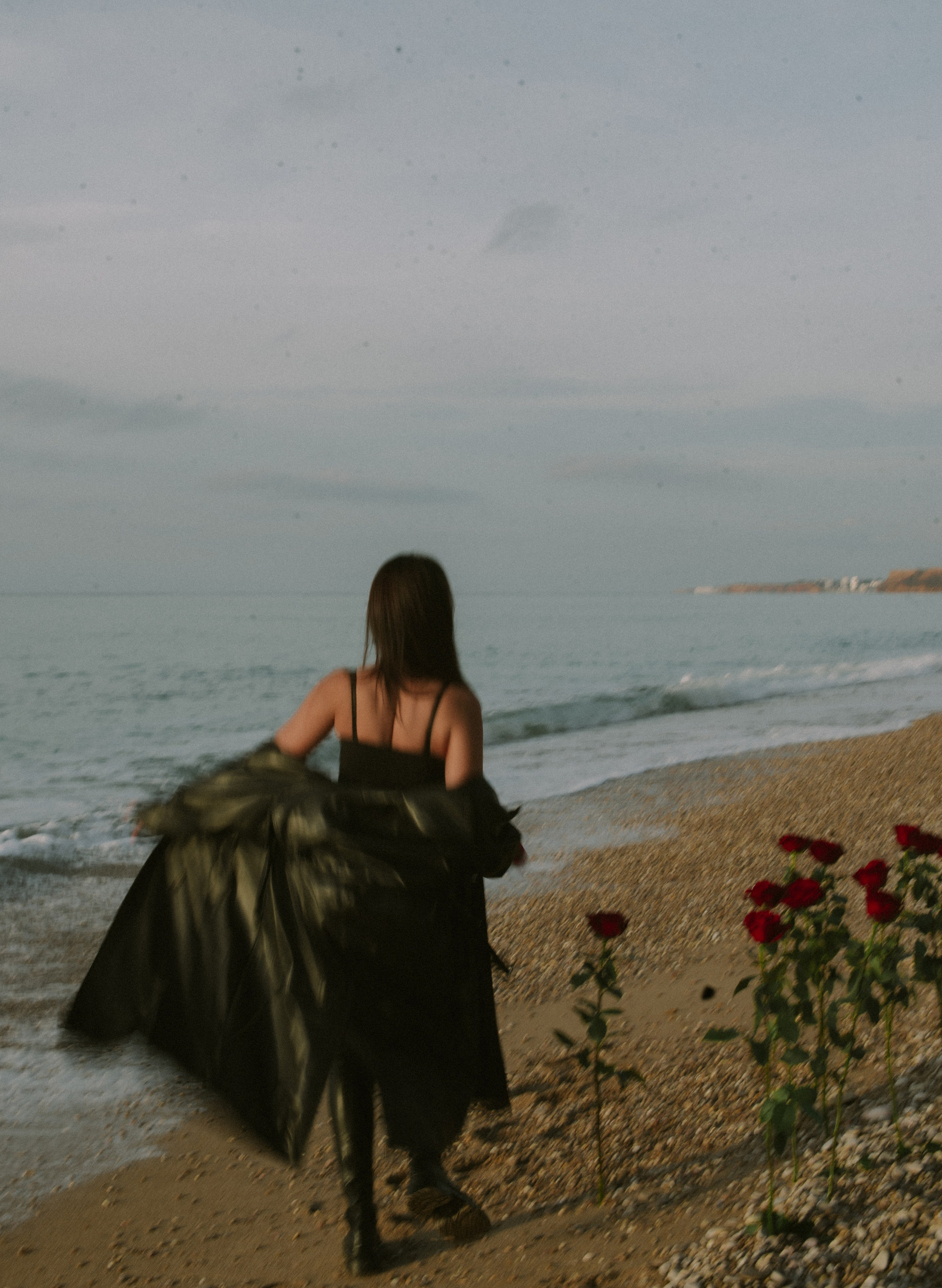 Настя.Розы.Море. Свадебный, женский, семейный фотограф в Севастополе Юлия Мошенко