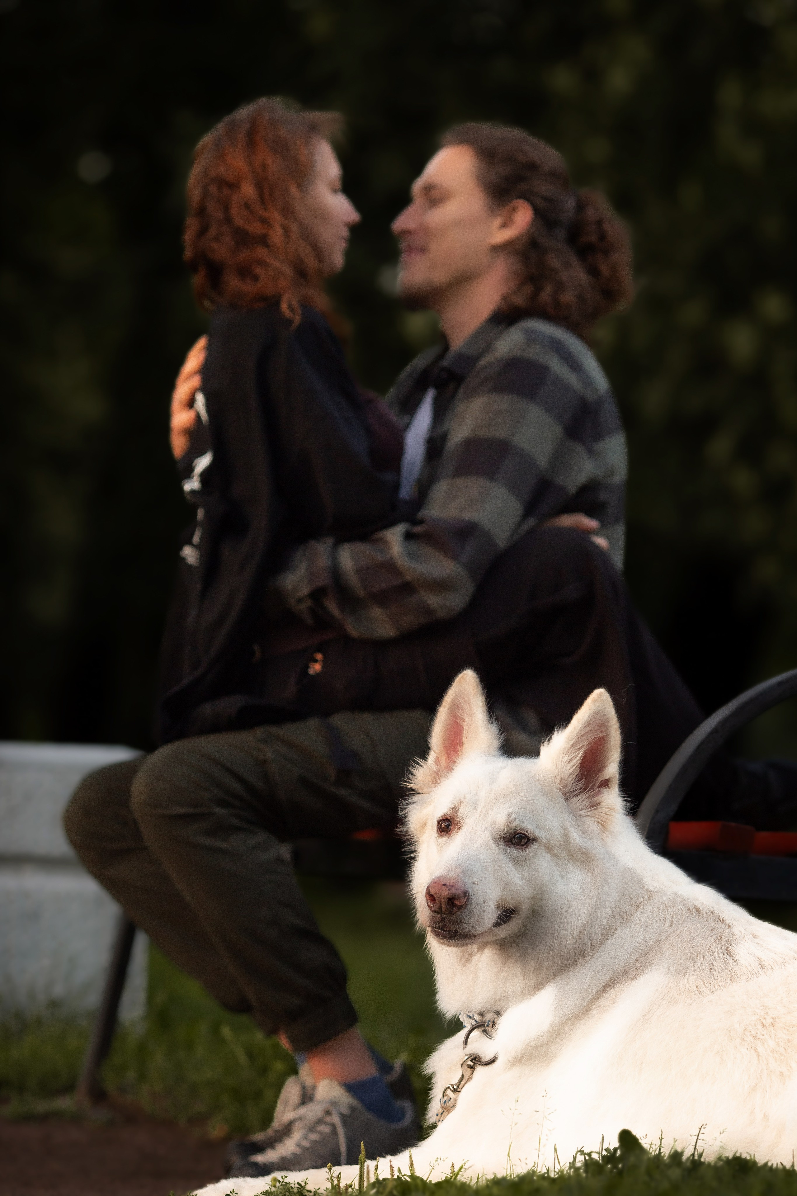 Света, Дима и Басс. Фотограф Анималист в Перми Анастасия Остерман