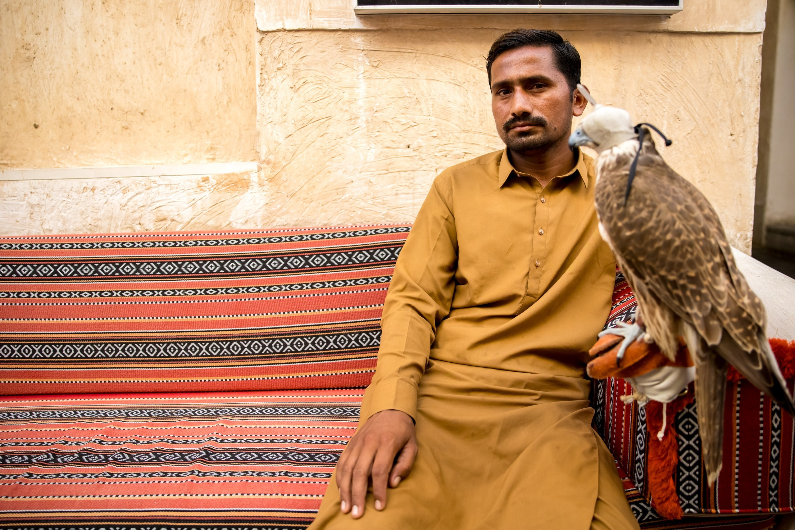 MSC Euribia Дубай — Доха — Бахрейн — Абу-Даби. Свадебное фото и видео в Ростове-на-Дону, Краснодаре, Москве и Крыму