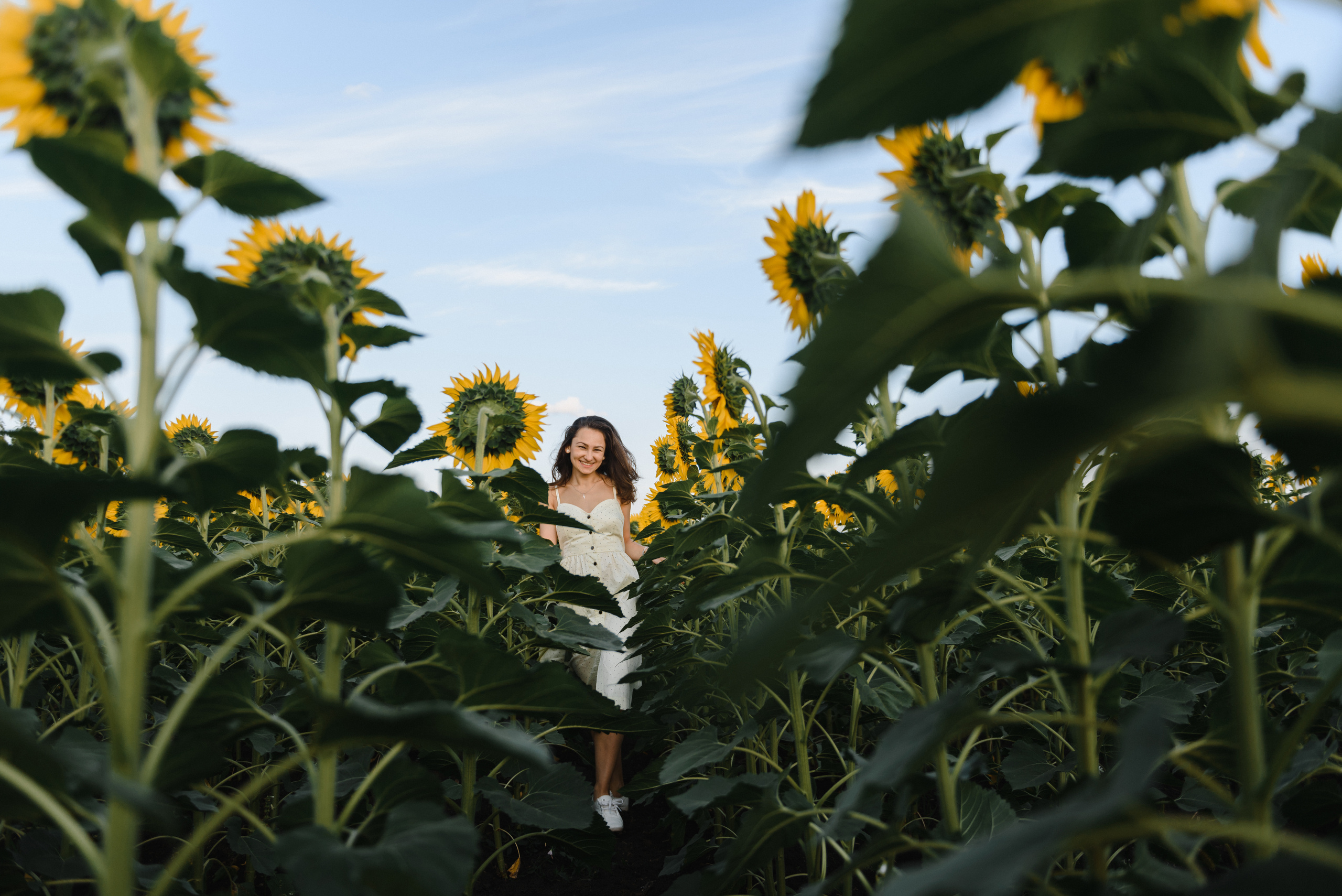 Фотосессия в подсолнухах. Свадебный фотограф в Тамбове Андрей Шаталов