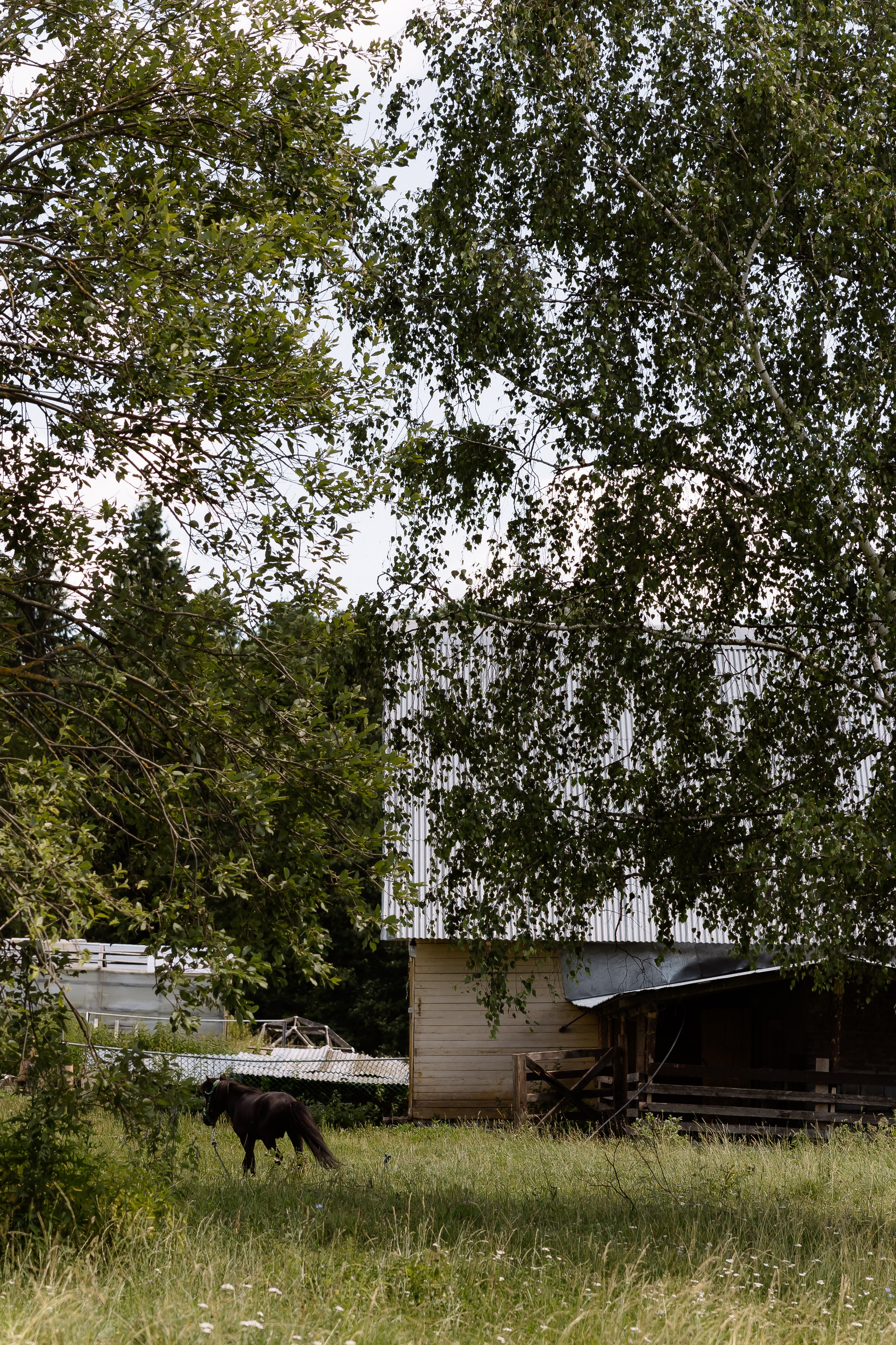 Владислав & Виктория. RETOUCH-HOUSE