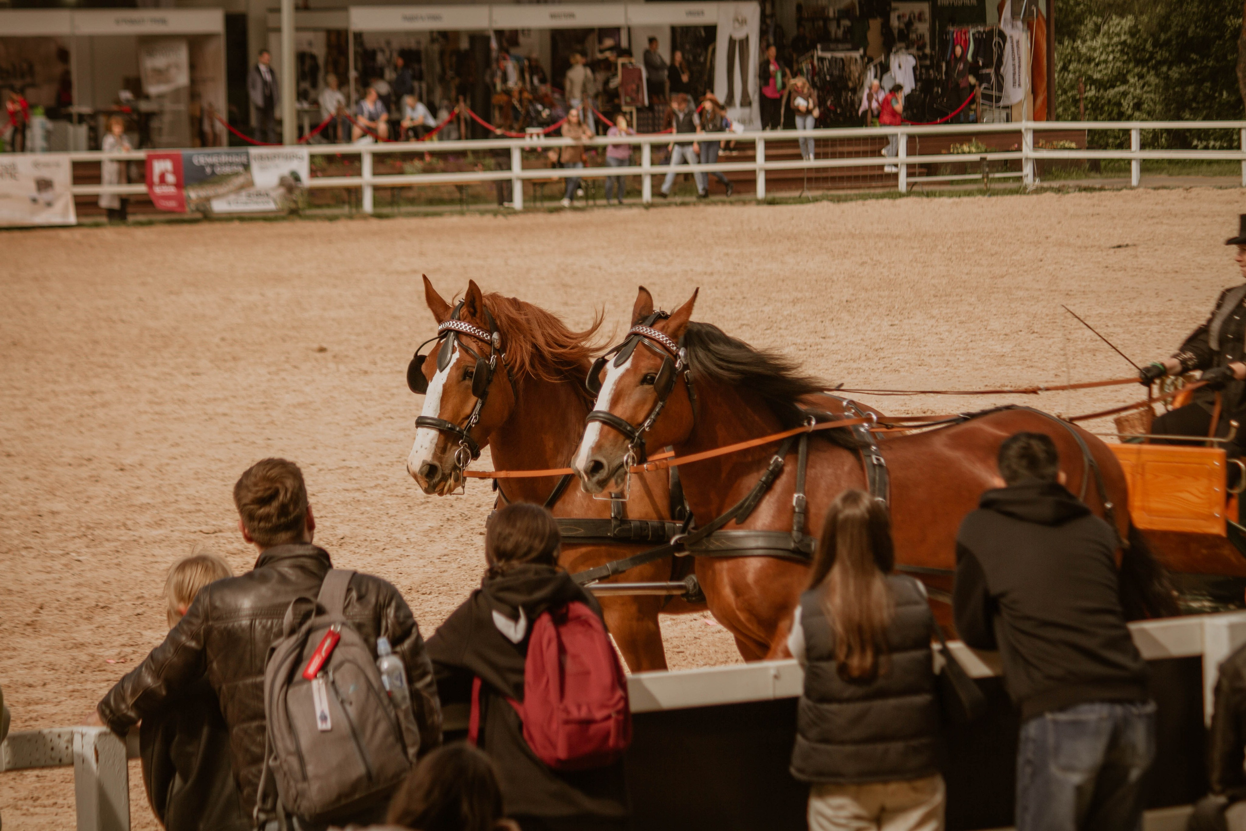 ИППОСФЕРА — Международная конная выставка. Создадим шедевр? Виталина и её фотоискусство