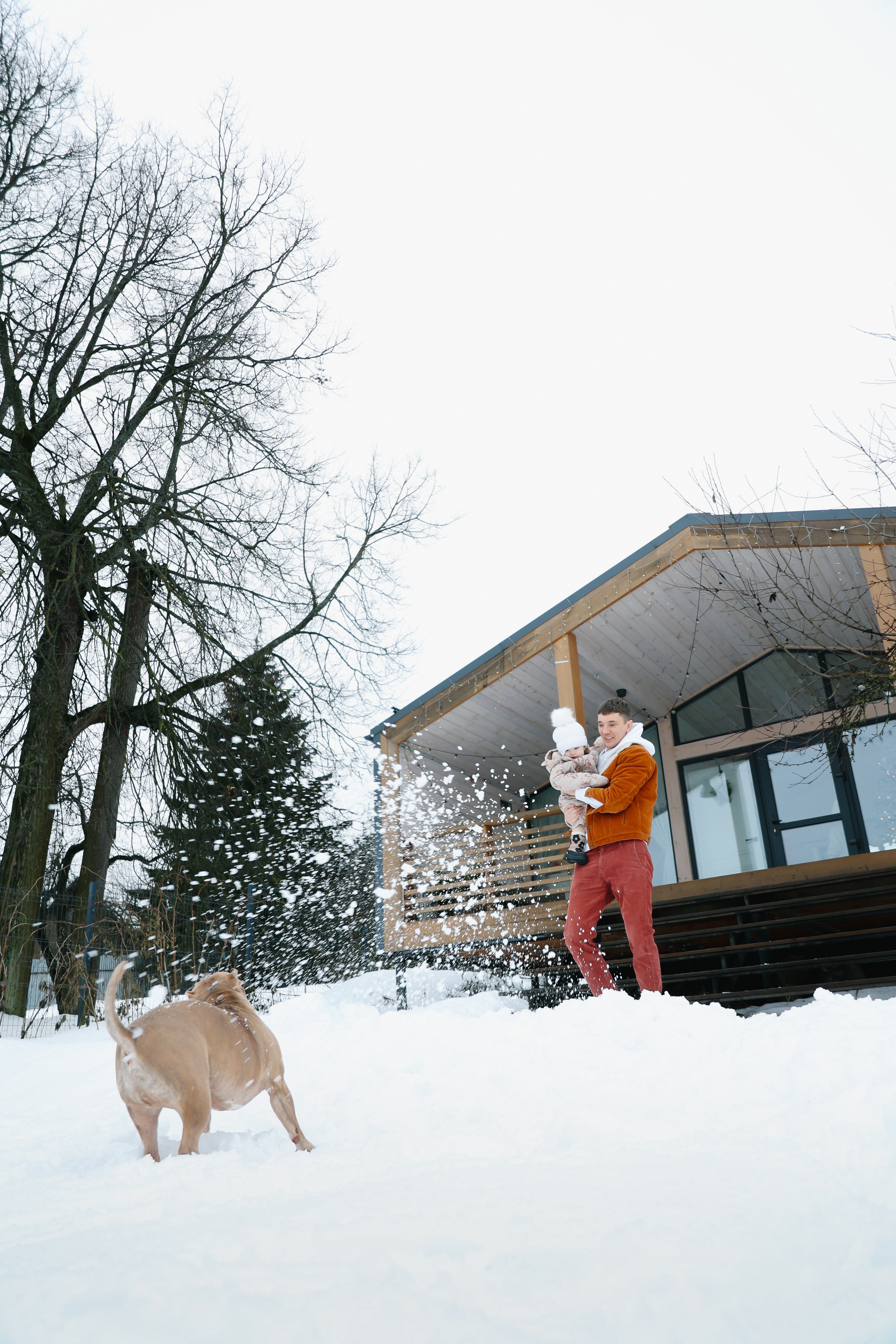 Dasha. Главная