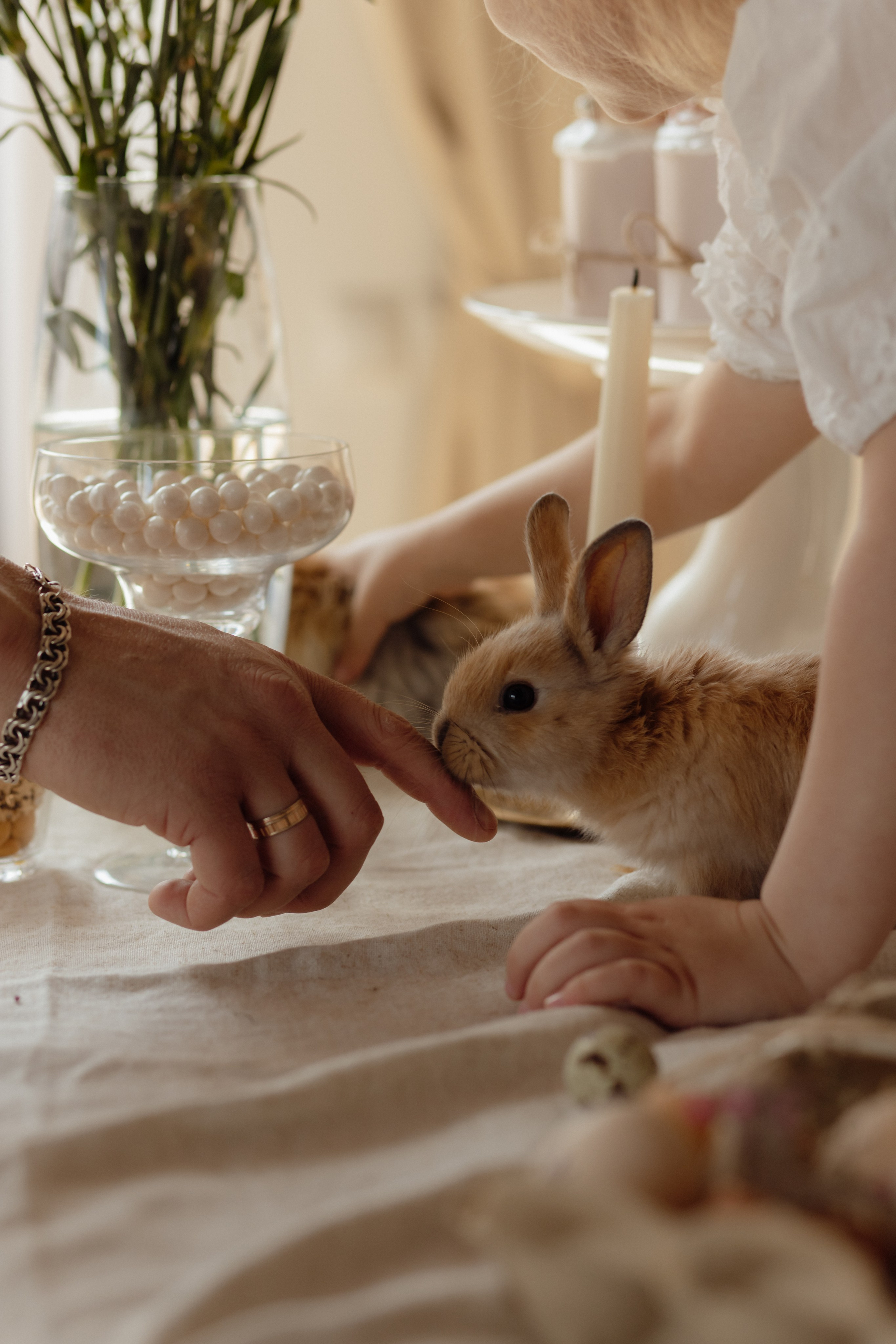 Варвара. Семейный и свадебный фотограф в Челябинске Мария Леонтьева