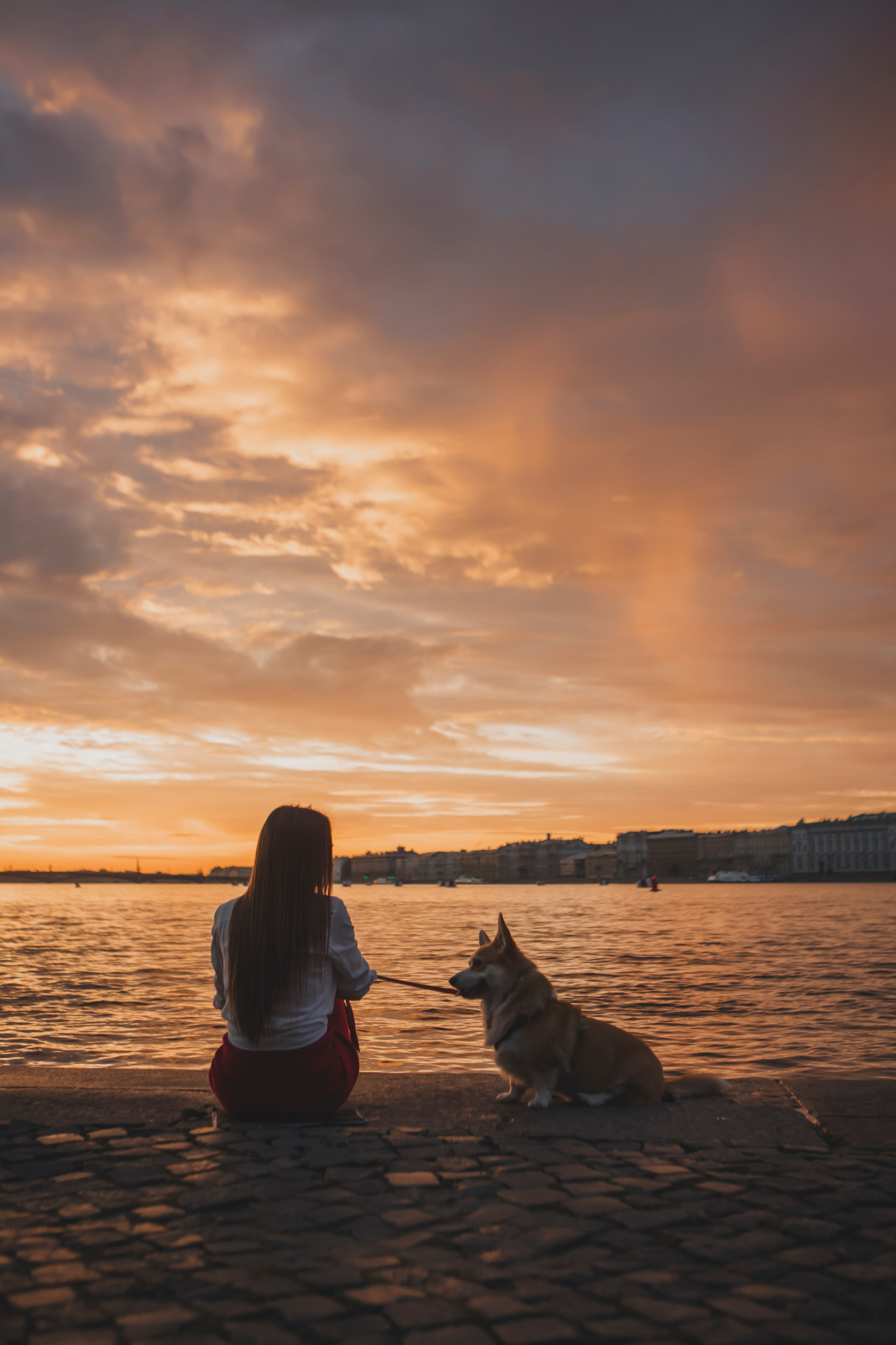 Настя и Стёпа. Фотограф-анималист в Санкт-Петербурге Алина Яхонт
