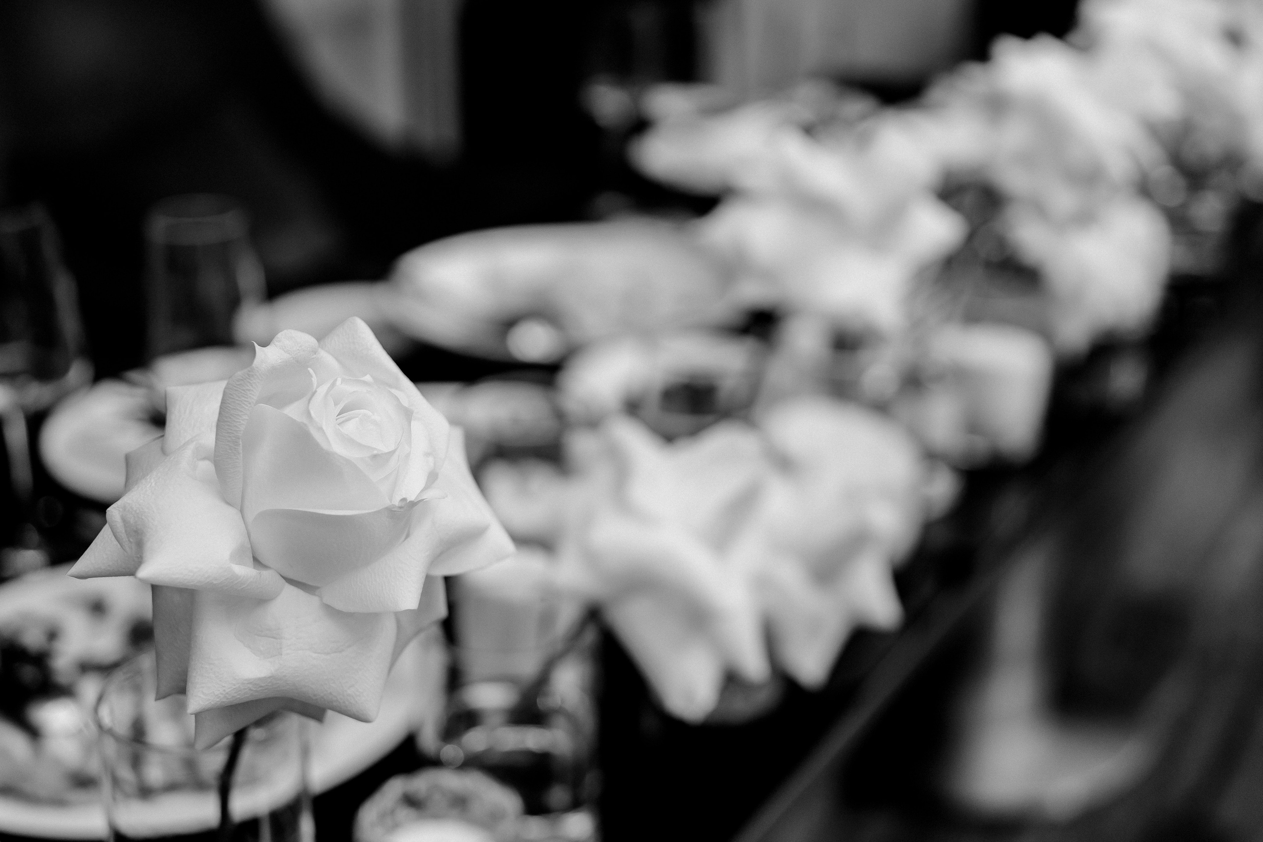 Evgeniy & Marina. Фотограф в Москве Людмила Денисенко