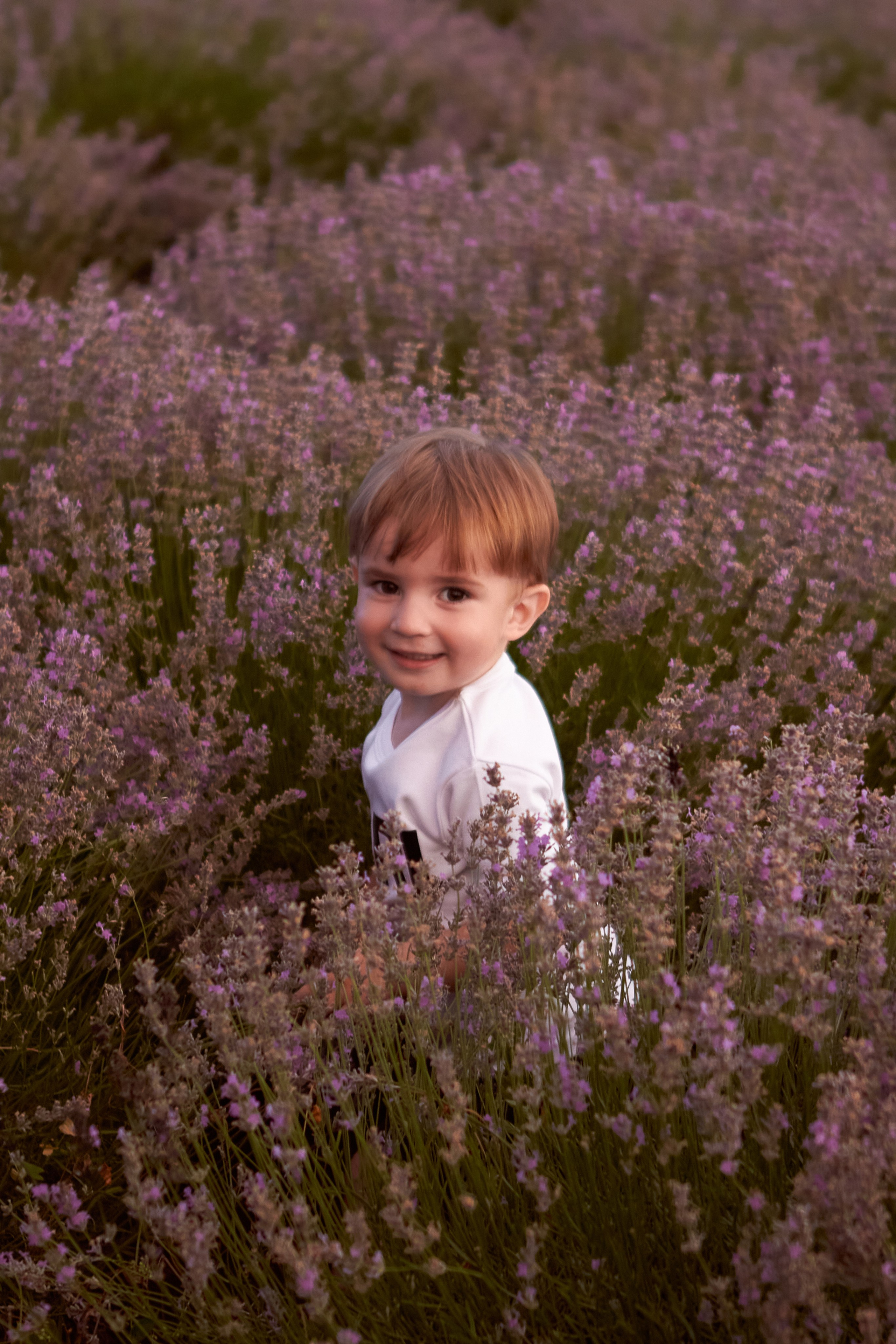 2021.06.22 Лаванда. Ирина Бешляга. Фотограф в Москве и по всей России