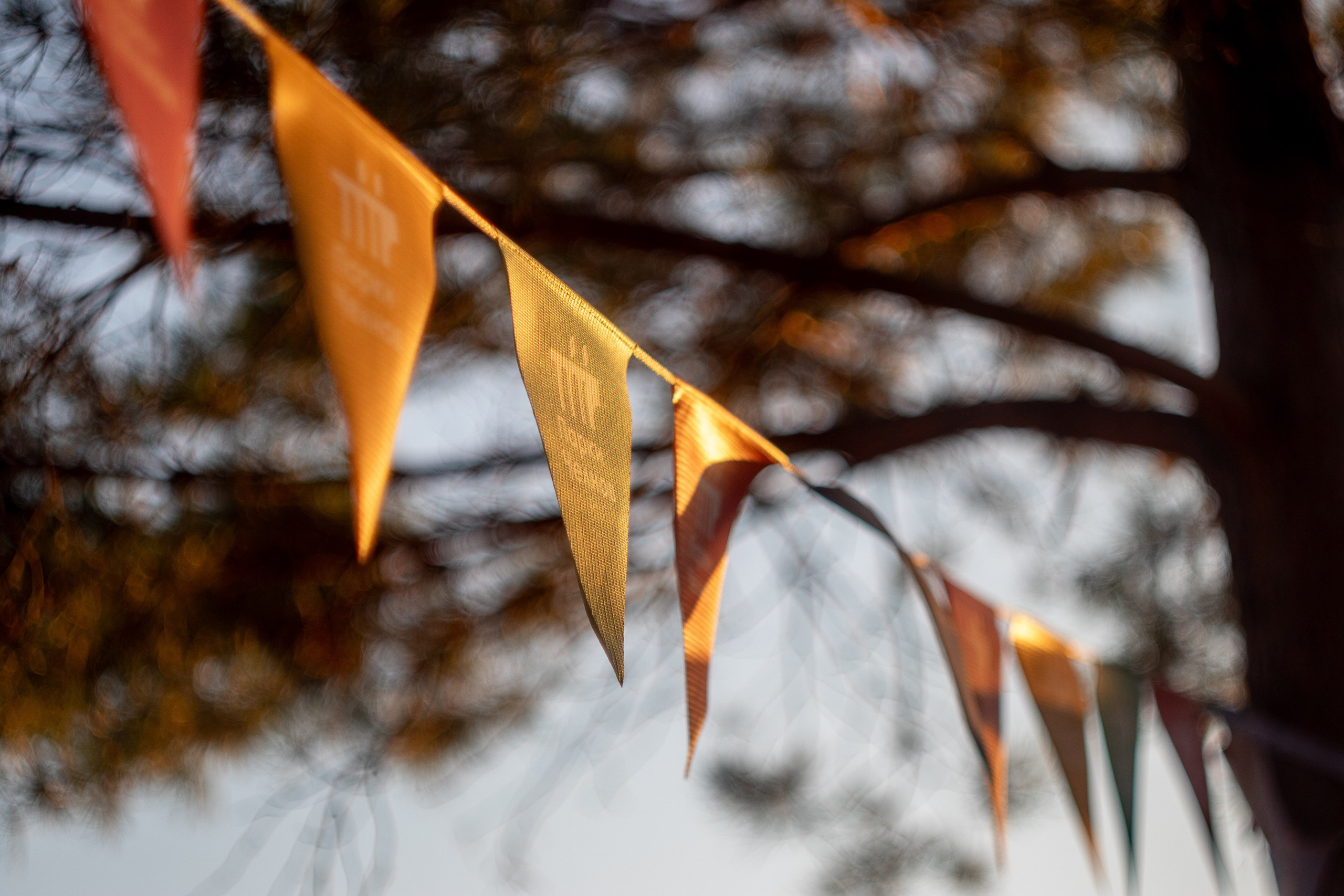 Dj event. Design Muginov