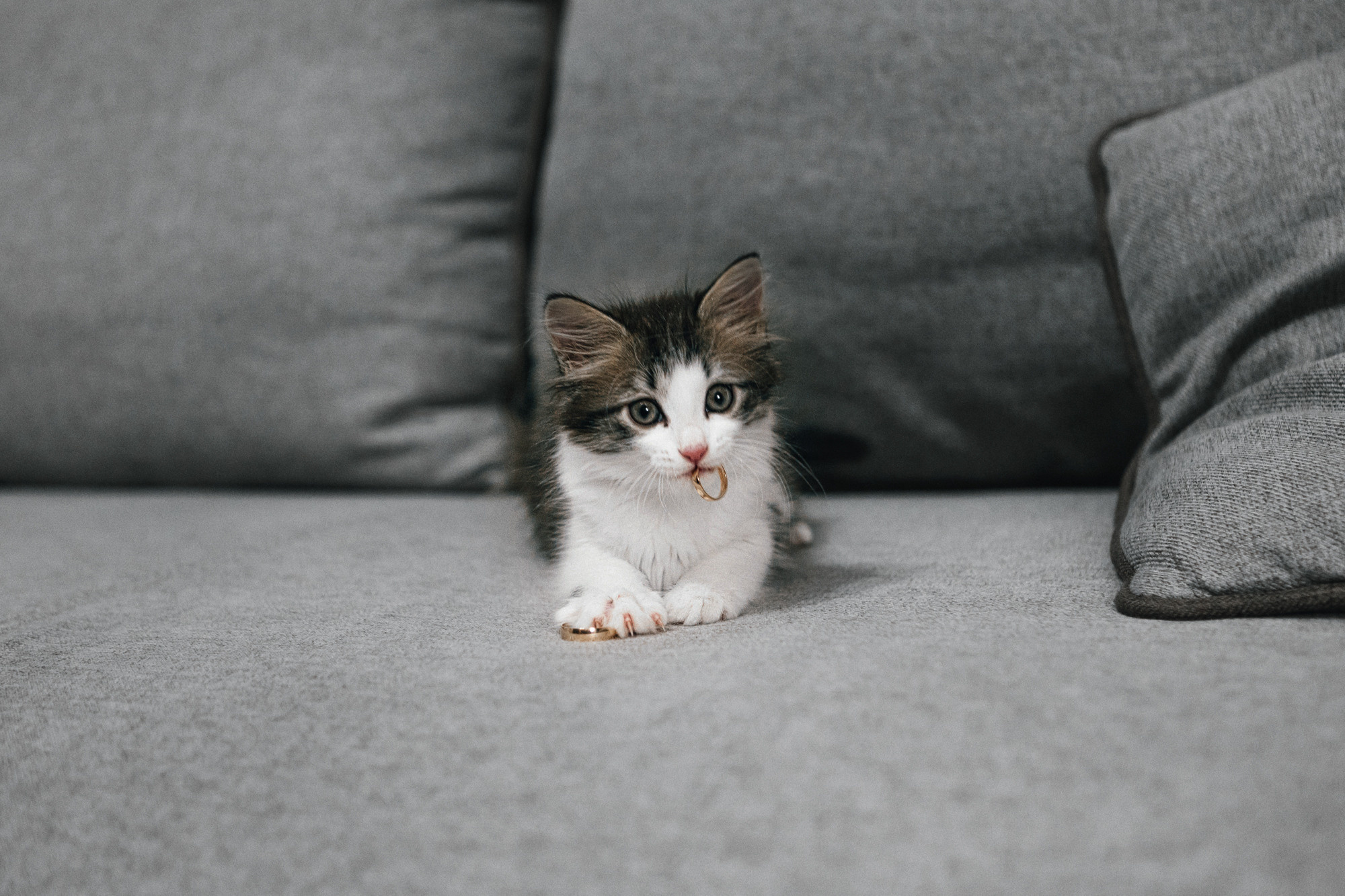 Юрий и Кристина. Юрий Тублицев. Фотограф. Оренбург