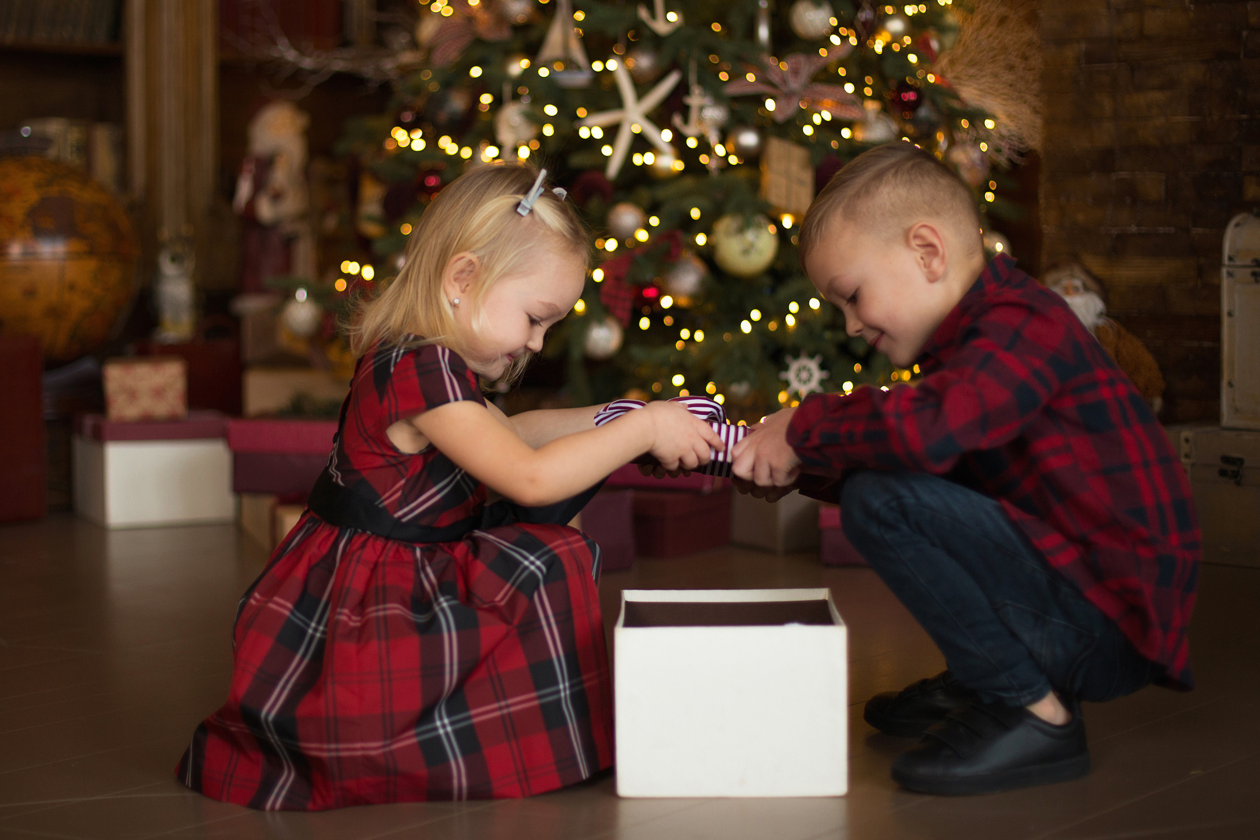 Новогодние. Фотограф Мытищи-Москва Мария Апреликова