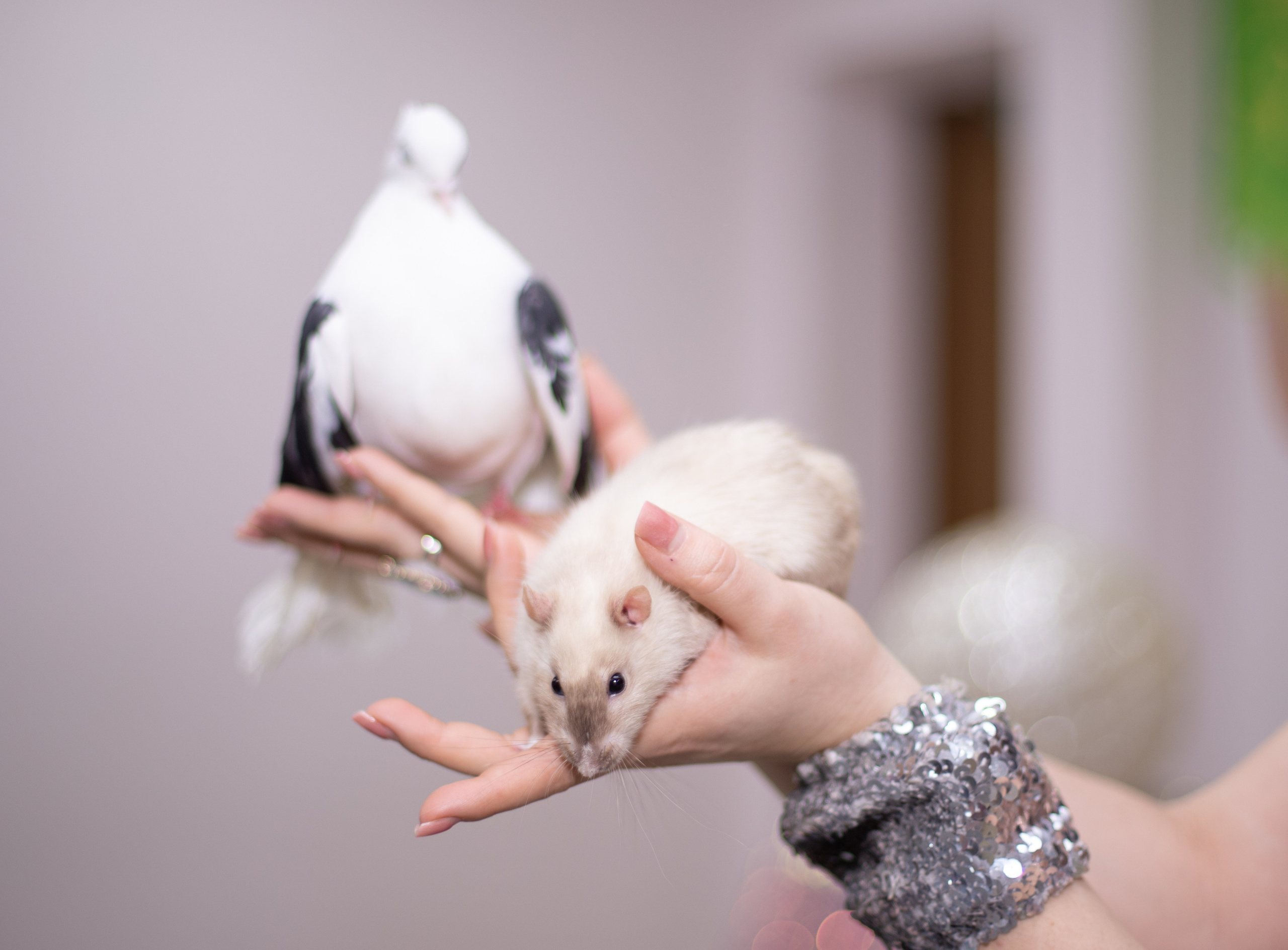 Репортажные съемки. Лучший фотограф Краснодара (по версии моей мамы)