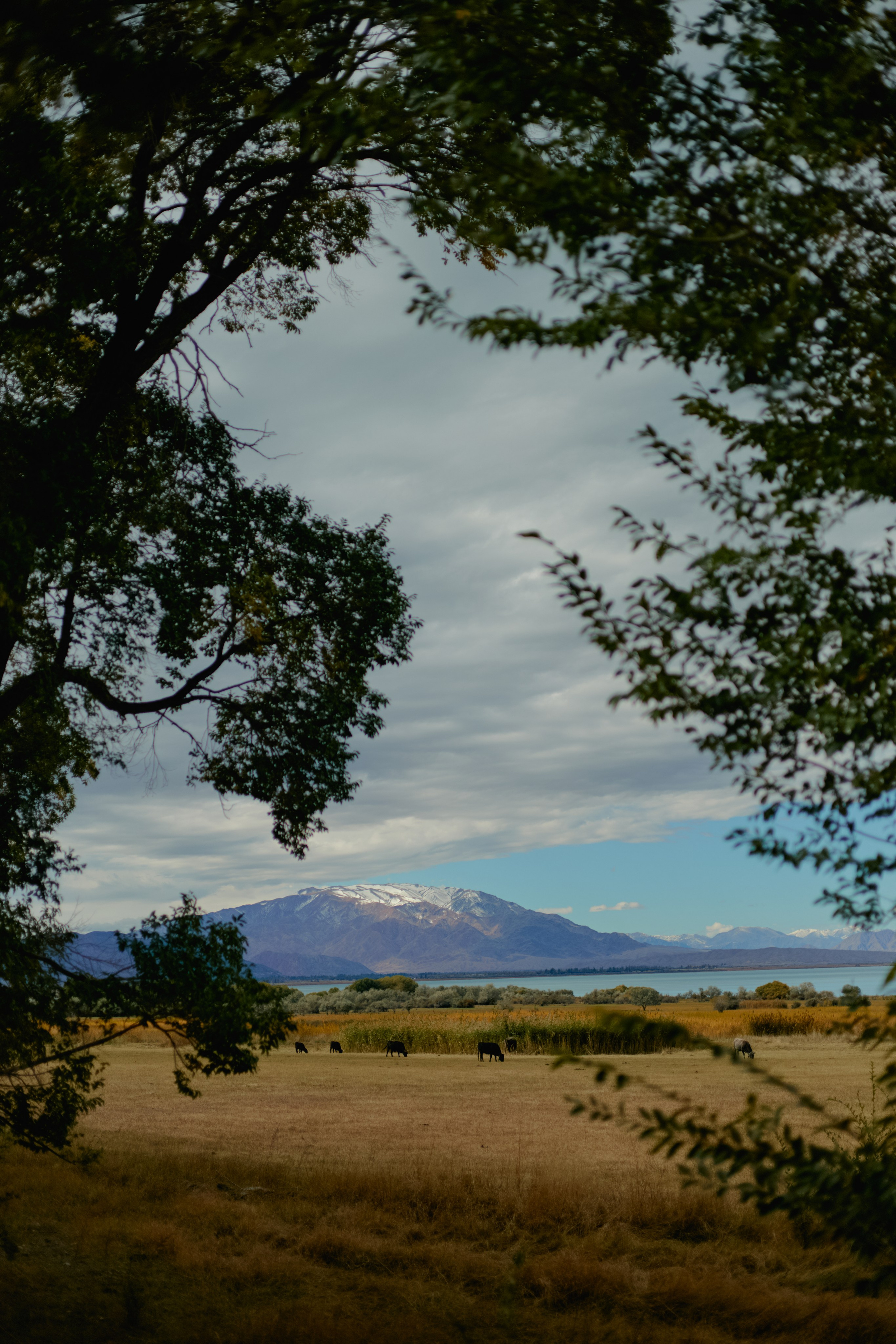 Кыргызтан. Профессиональный Фотограф во Владимире, в Москве и в Суздале — Полина Романычева