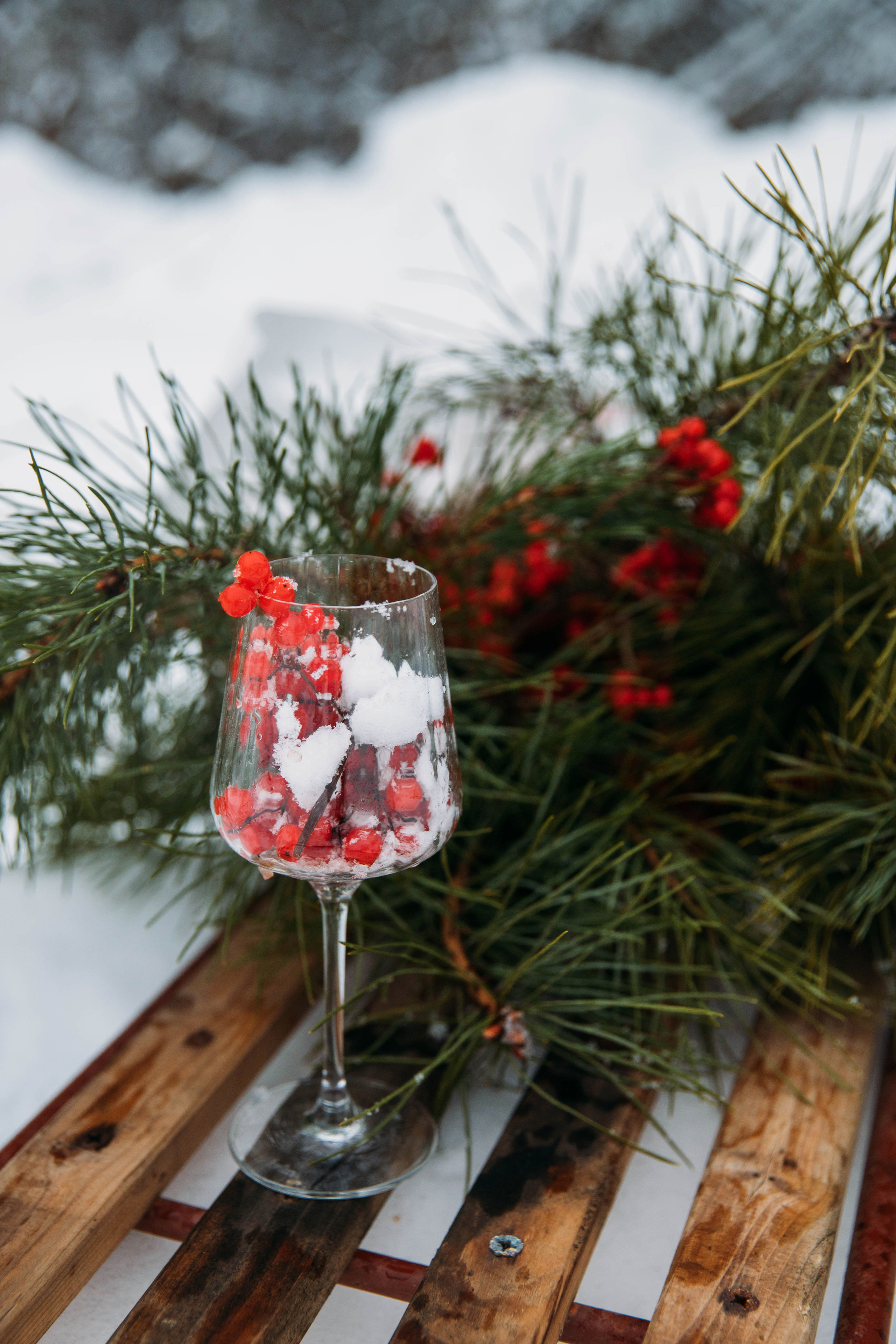 Под Новый год. Женский и семейный фотограф в Туле Катя Вуколова