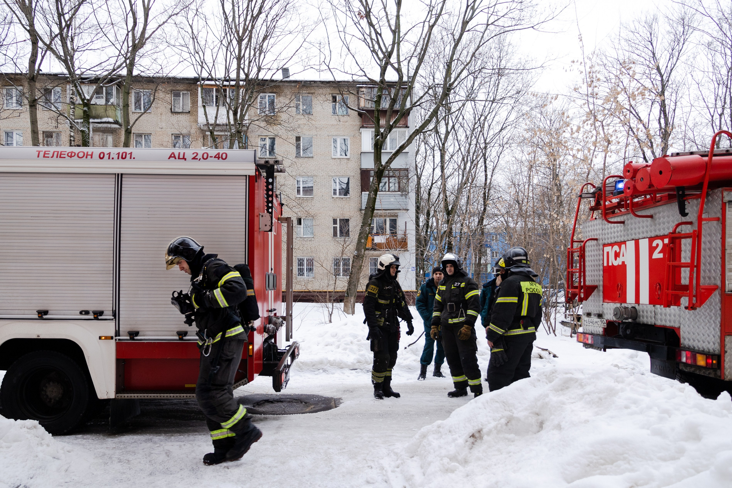 Часть. DASHA KALNINA