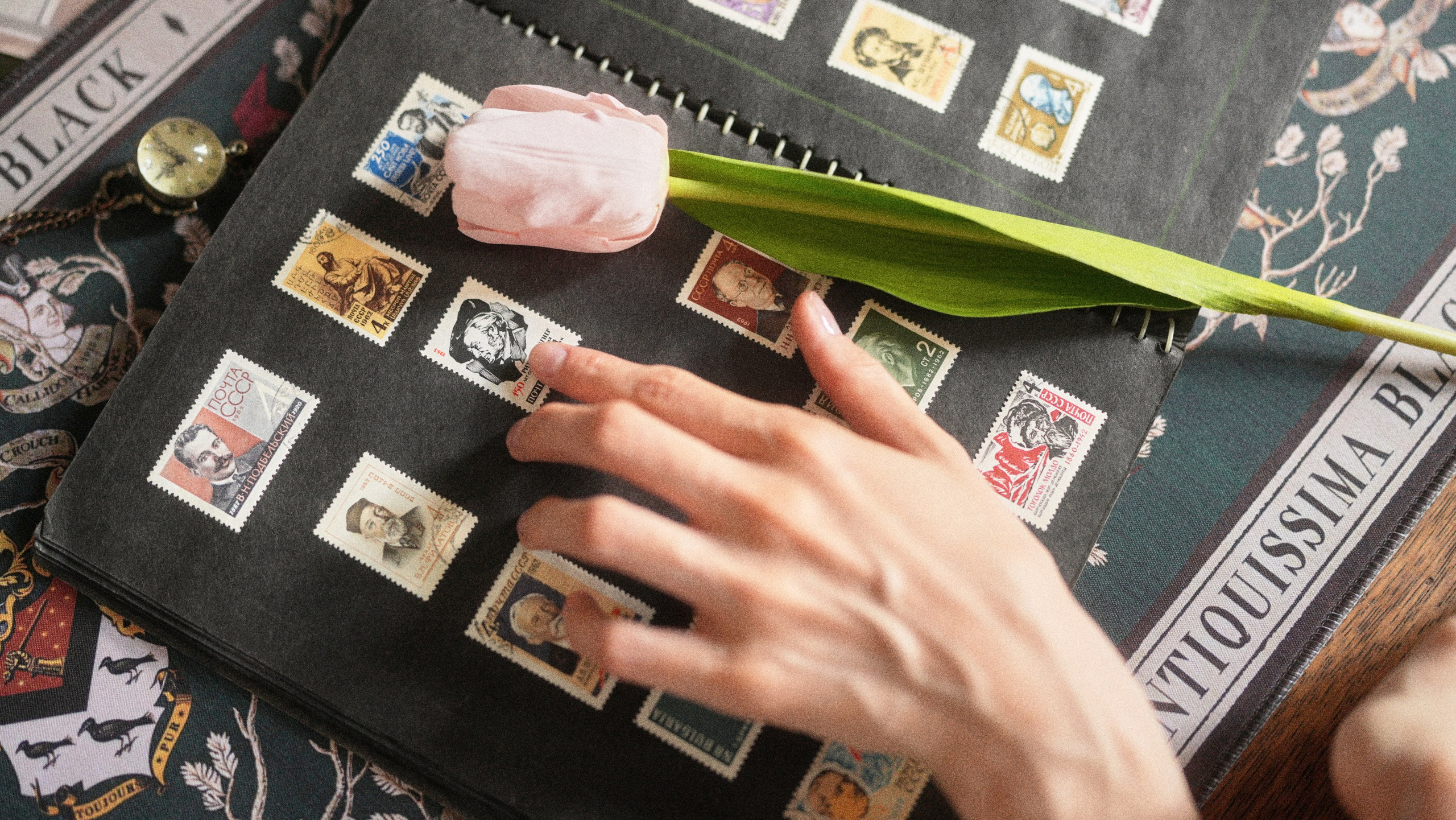 Марки. Сергей Горшенин — профессиональный фотограф