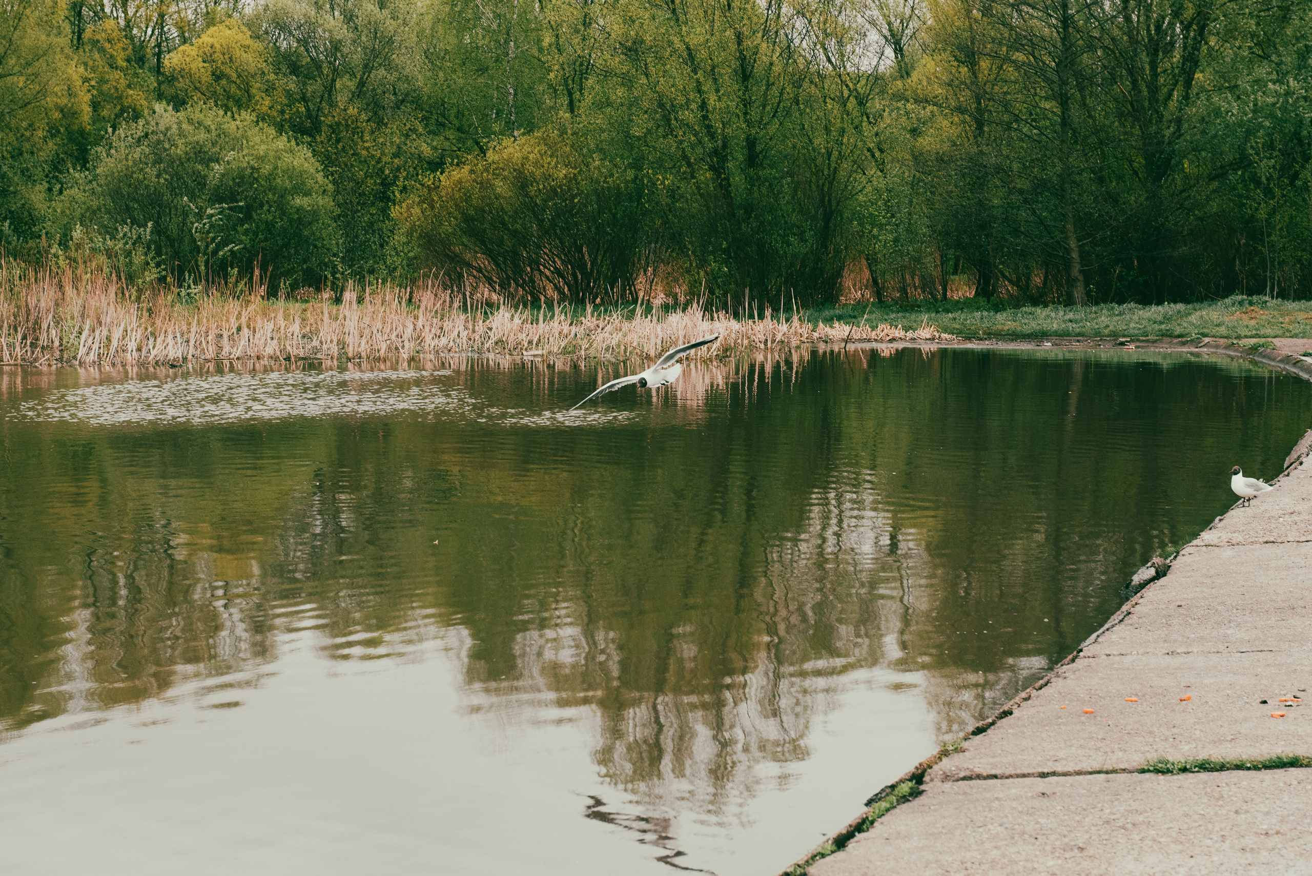 Текстуры апреля. Портретный и архитектурный фотограф в Москве и Санкт-Петербурге