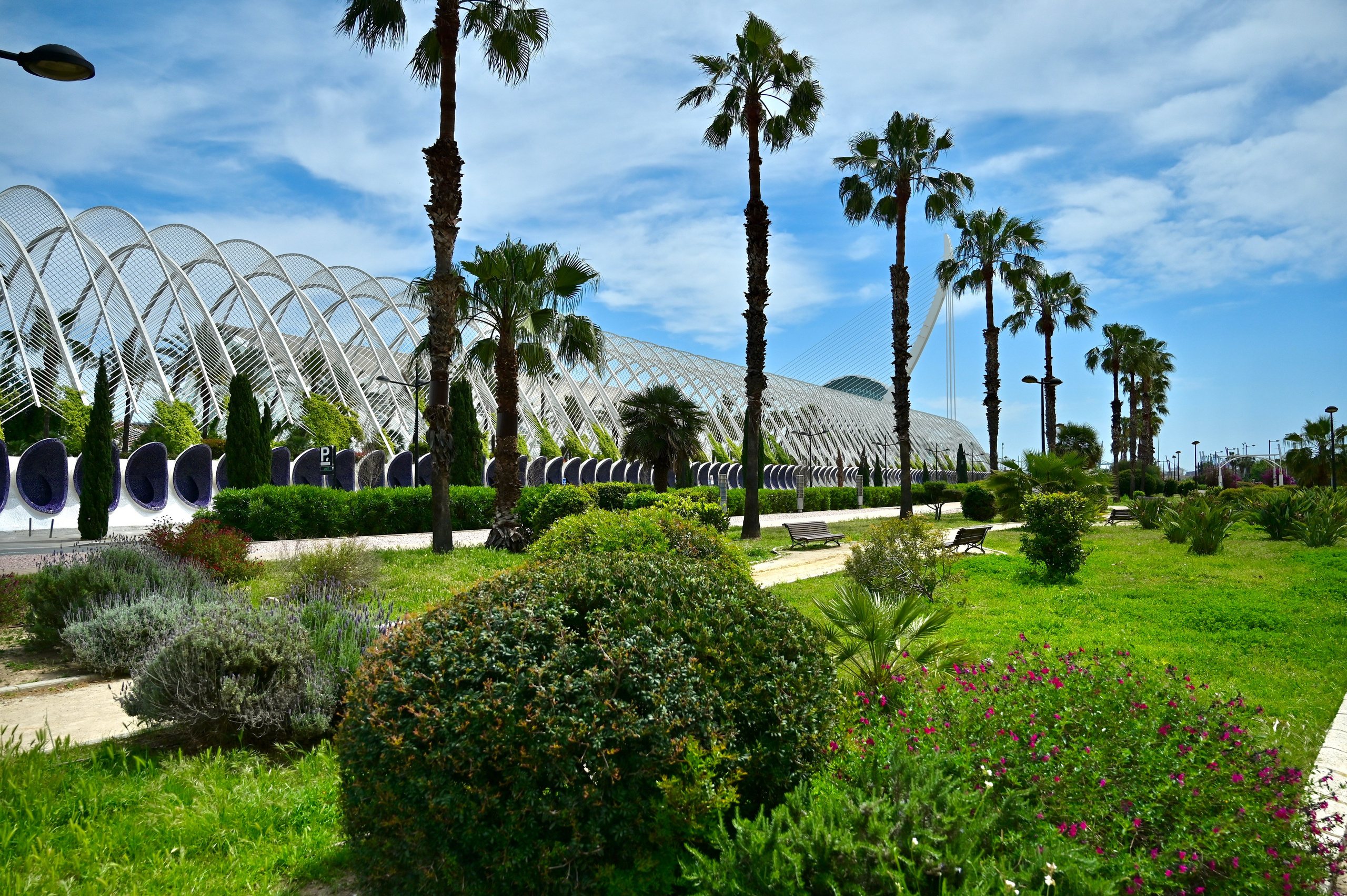 Фотосессия в парке Турия (Валенсия). Гид и фотограф в Валенсии Новиков Михаил