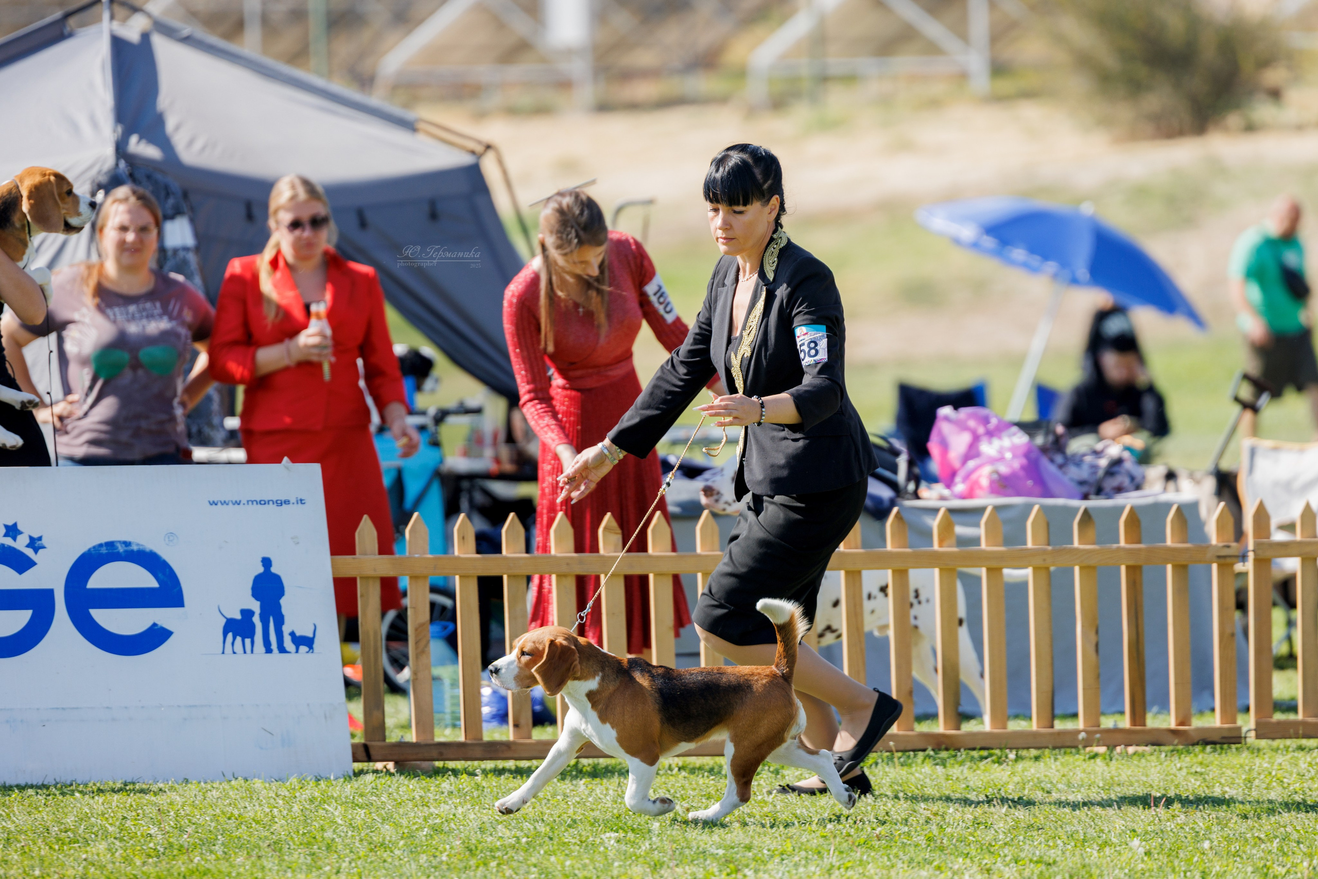 Ереван 14-16.10.2025. Фотограф-анималист Юлия Германика