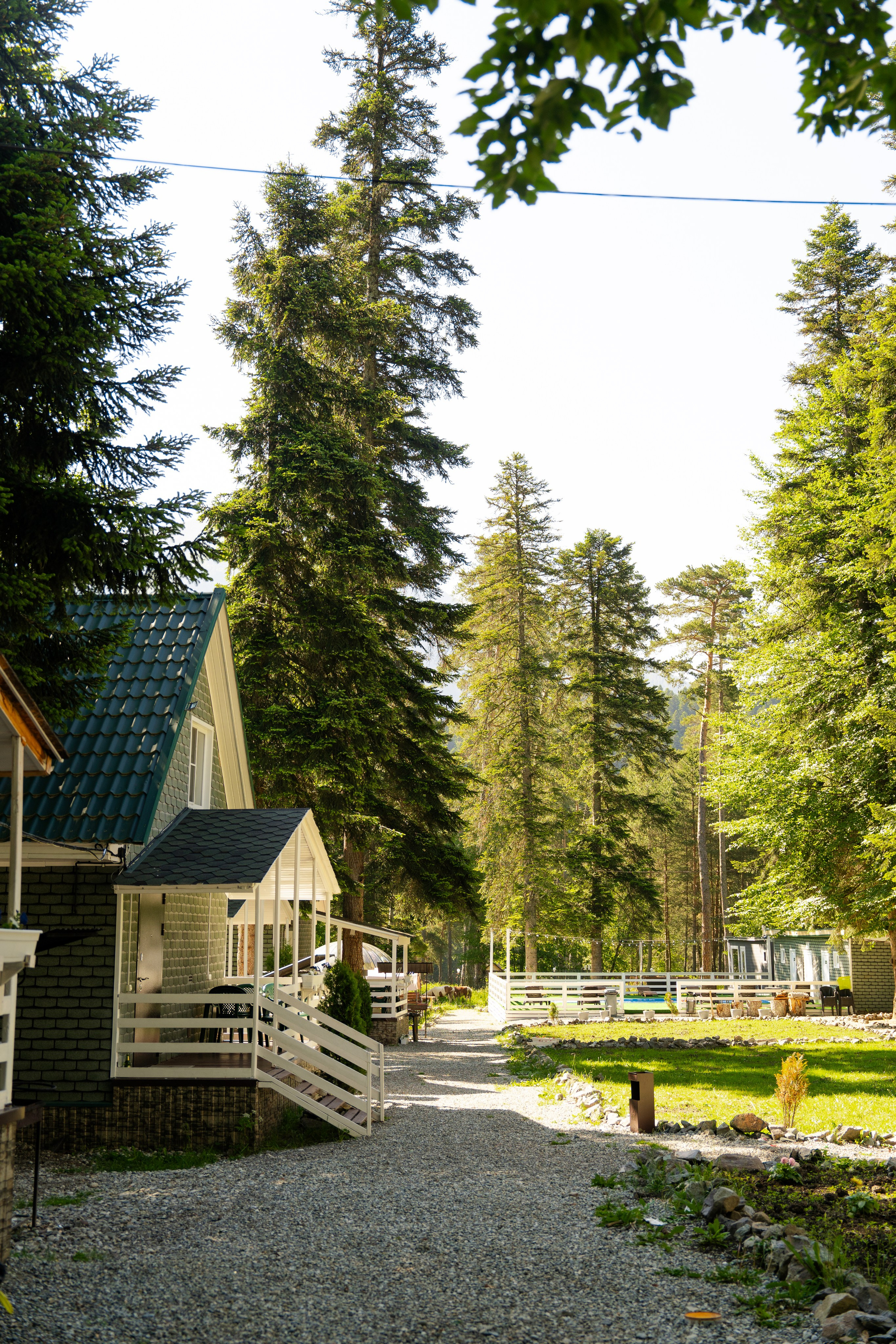 Green Park. Фотограф и видеограф Елена Хмелевская